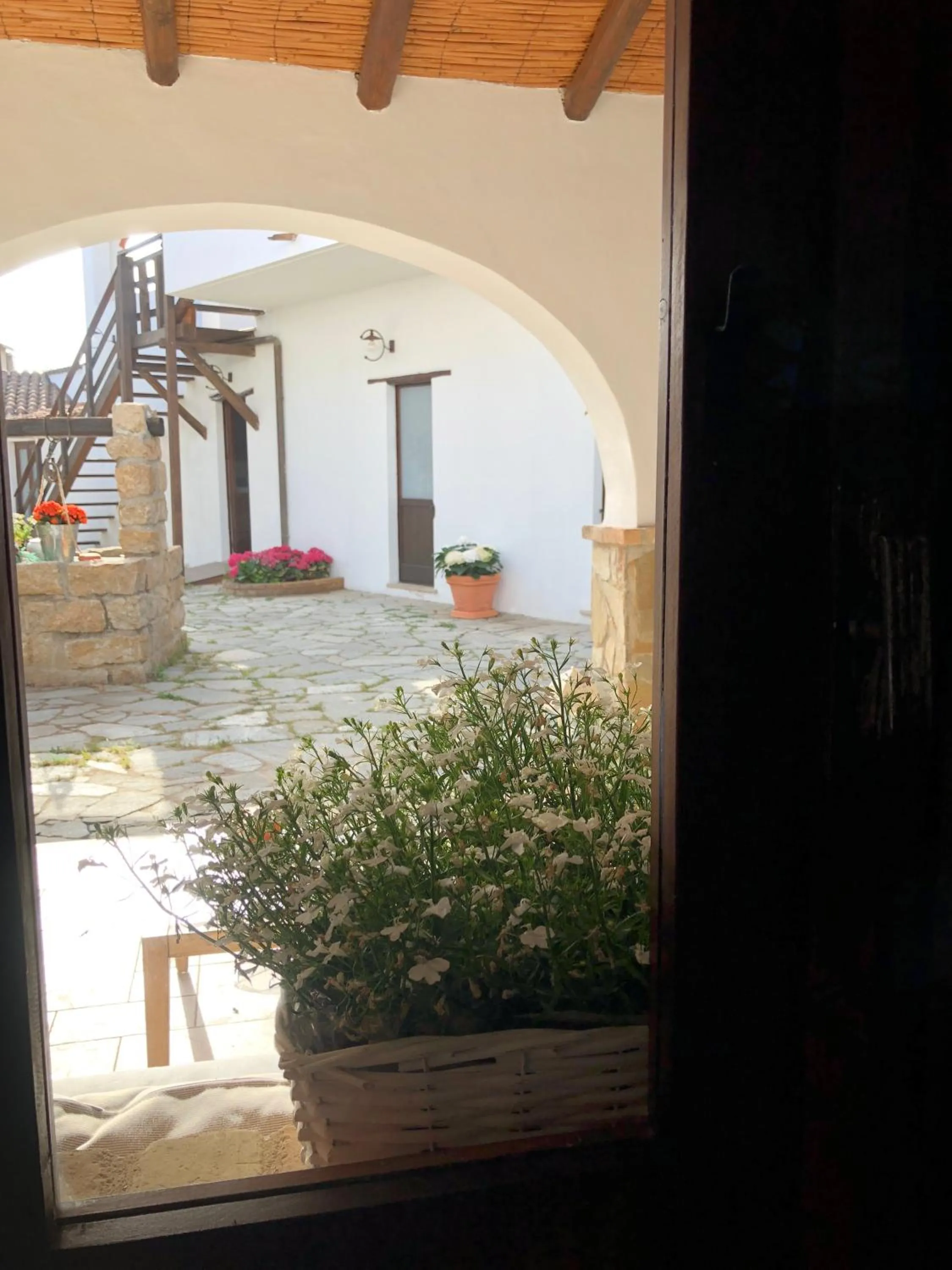 Patio in Domu Elvira