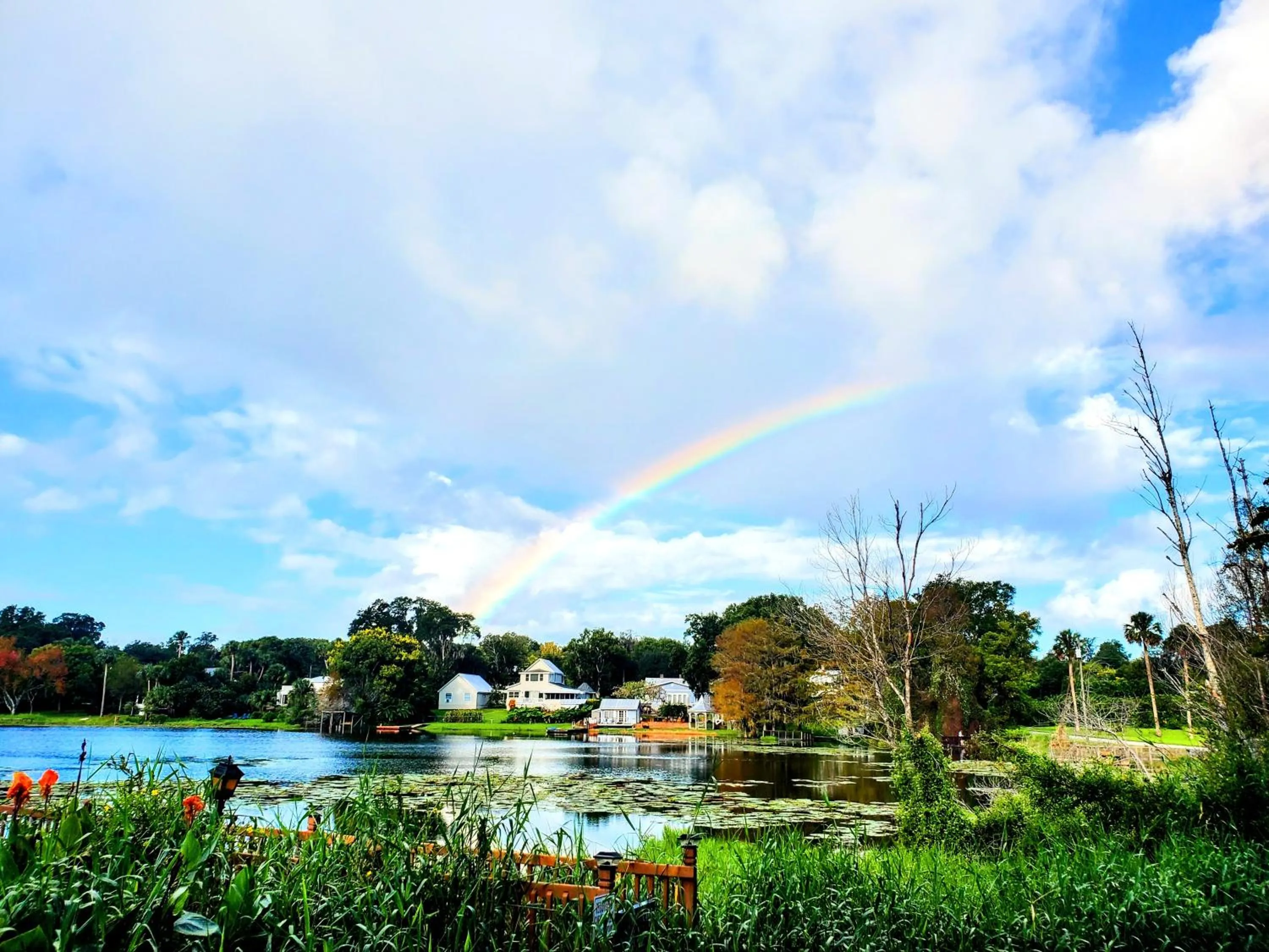 View (from property/room) in Cabin On The Lake
