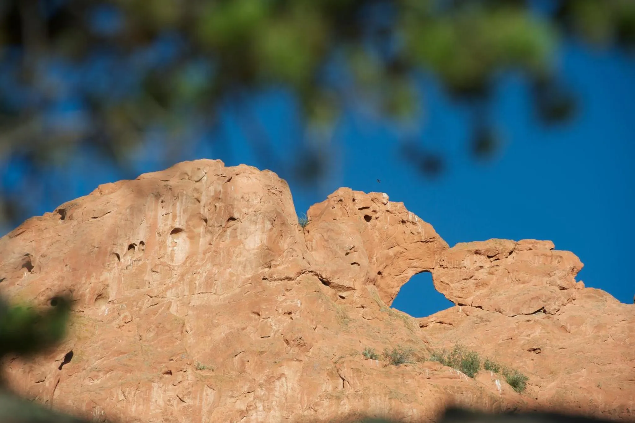 Nearby landmark in Holiday Inn Express & Suites Colorado Springs Central by IHG