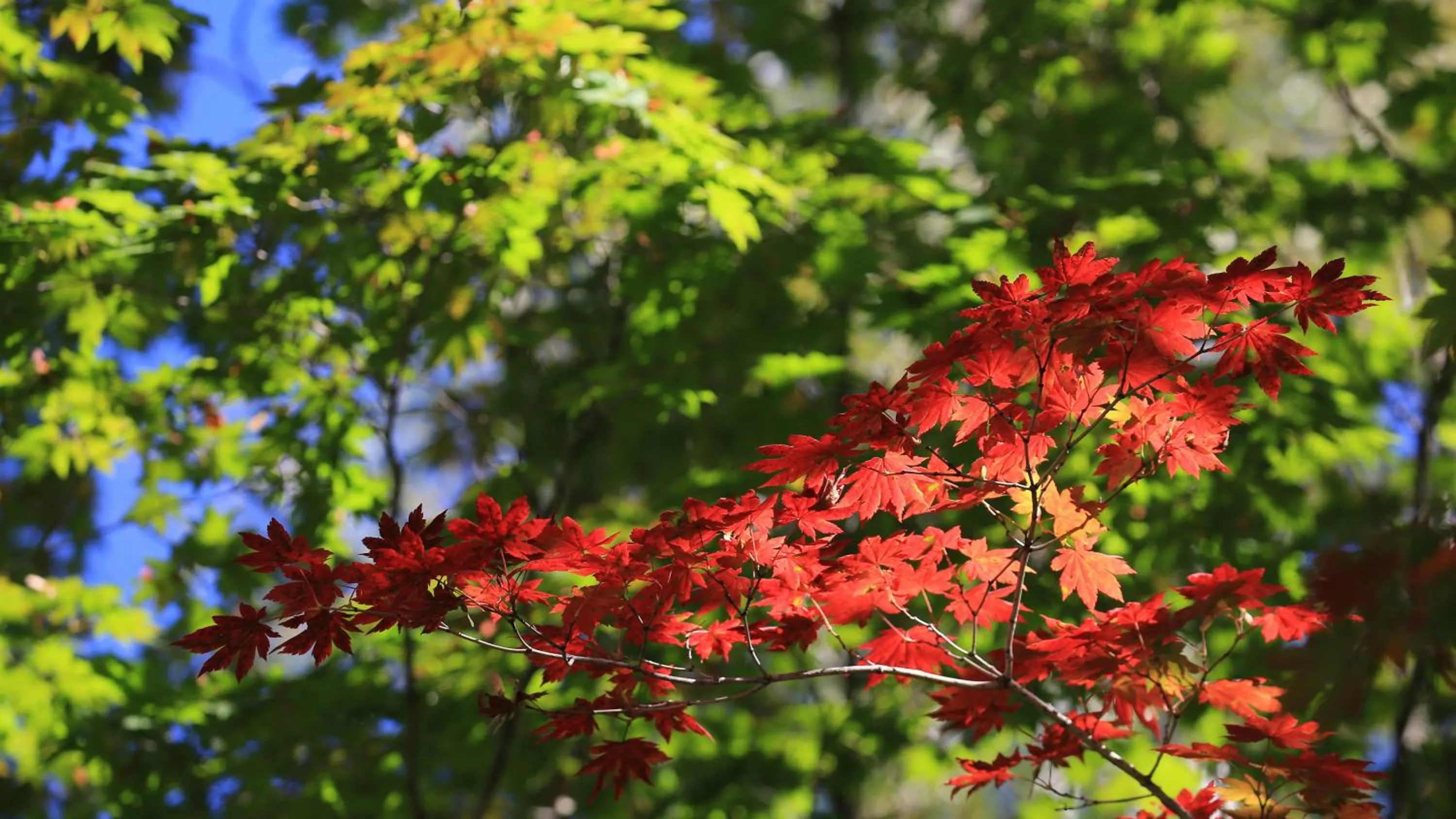 Property building in Holiday Inn Express Changbaishan by IHG