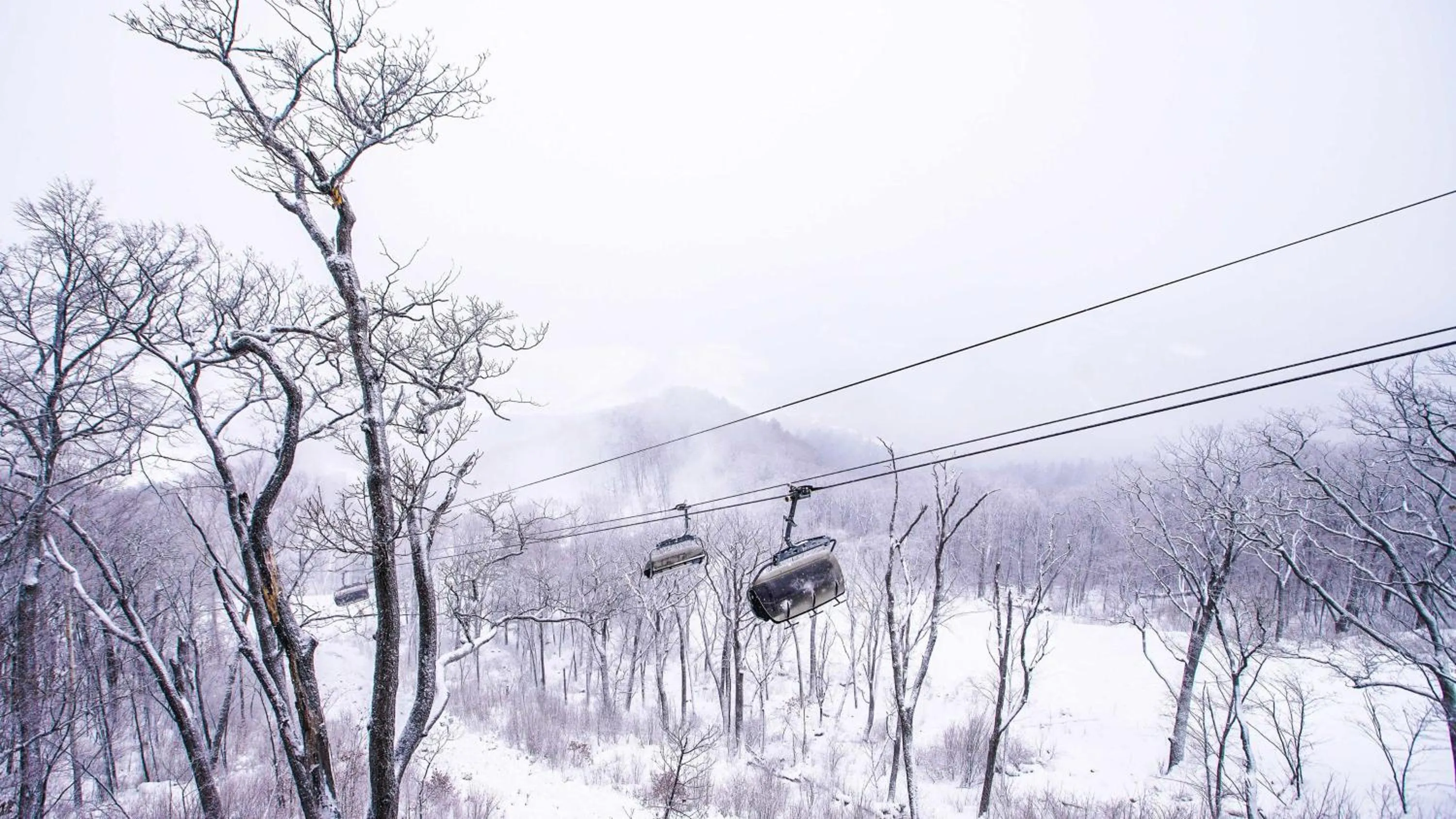 Other in Holiday Inn Express Changbaishan by IHG