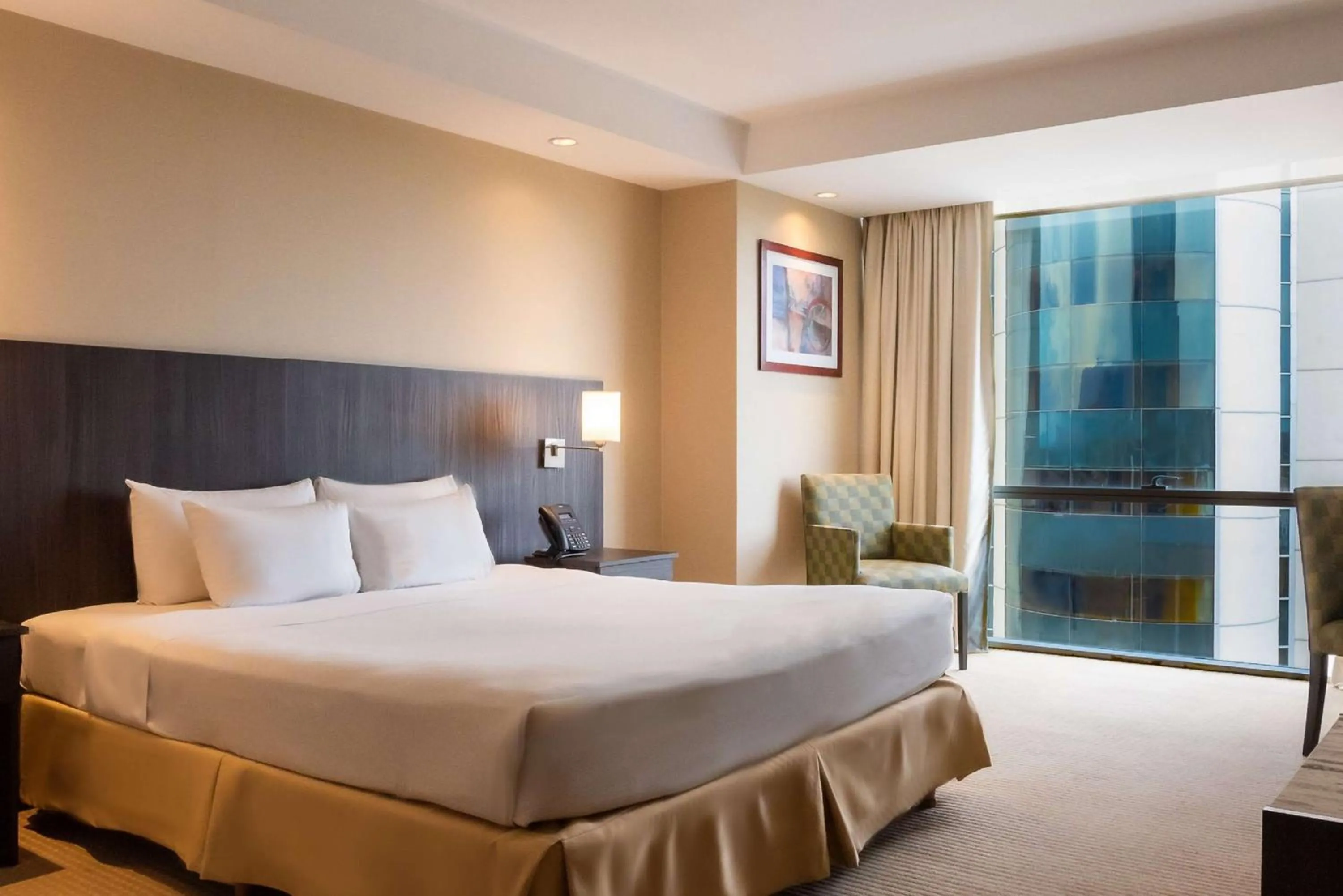 View (from property/room), Bed in Hilton Mendoza