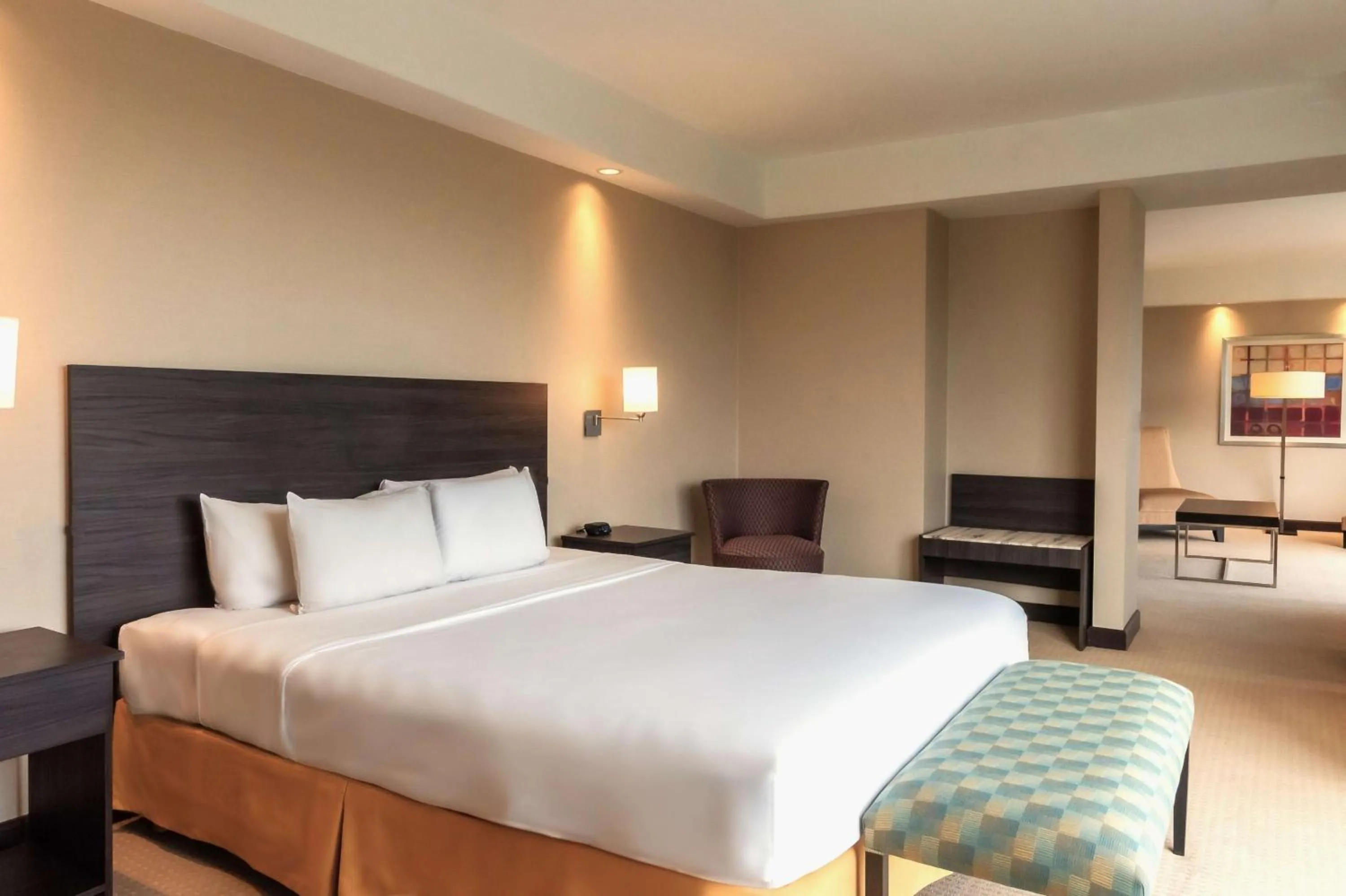 Bed in Hilton Mendoza