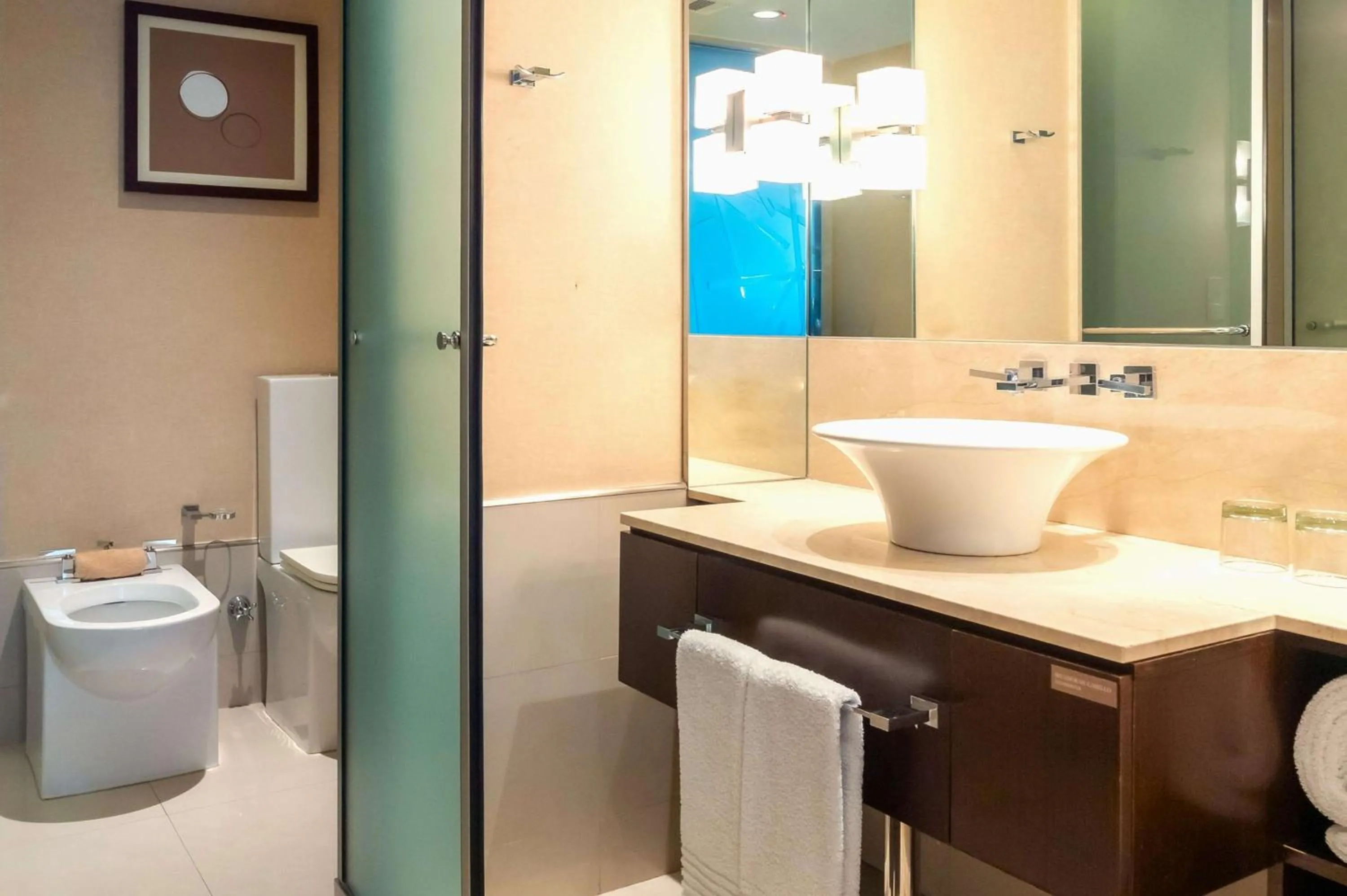 Bathroom in Hilton Mendoza