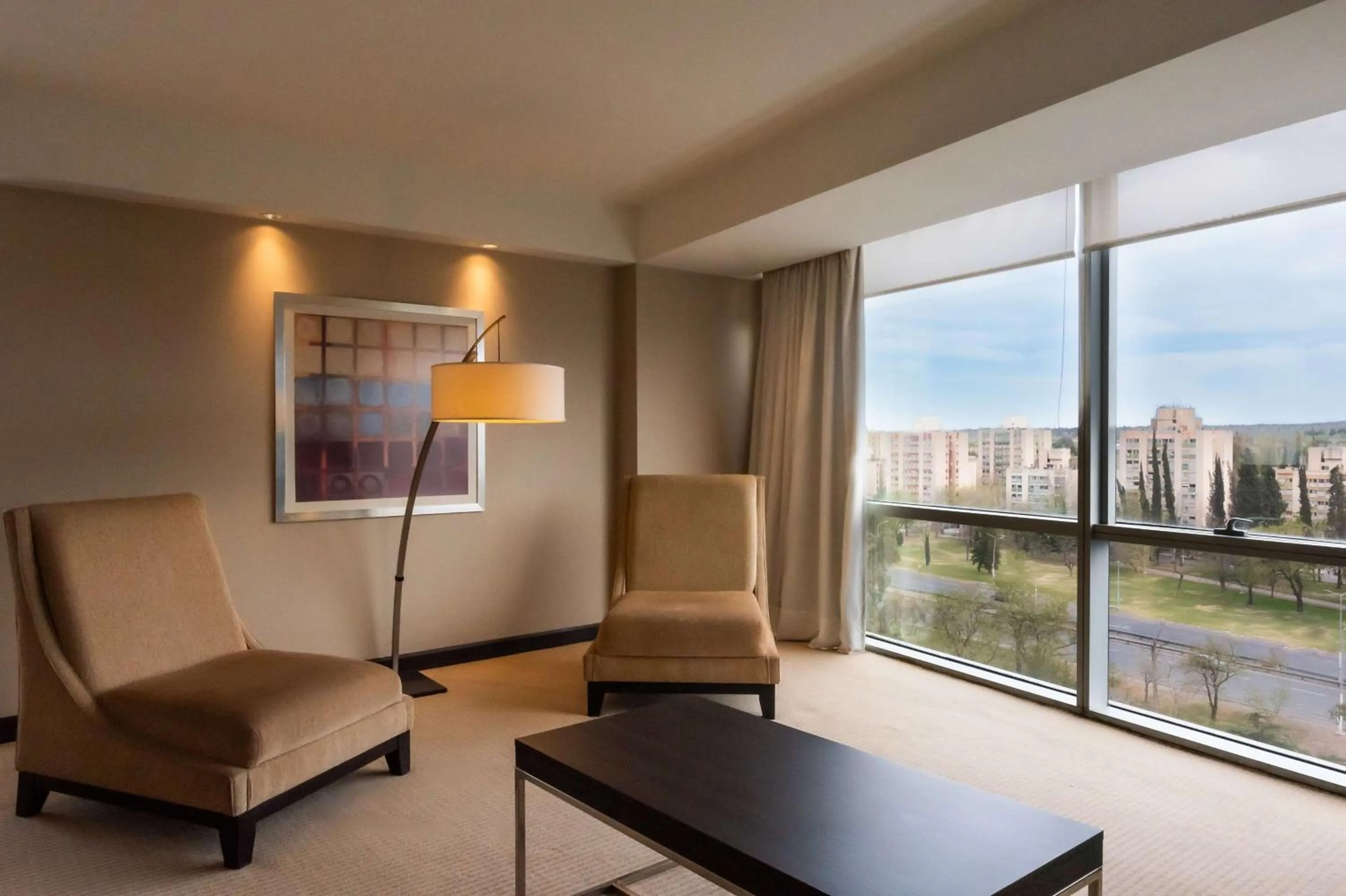 Living room in Hilton Mendoza