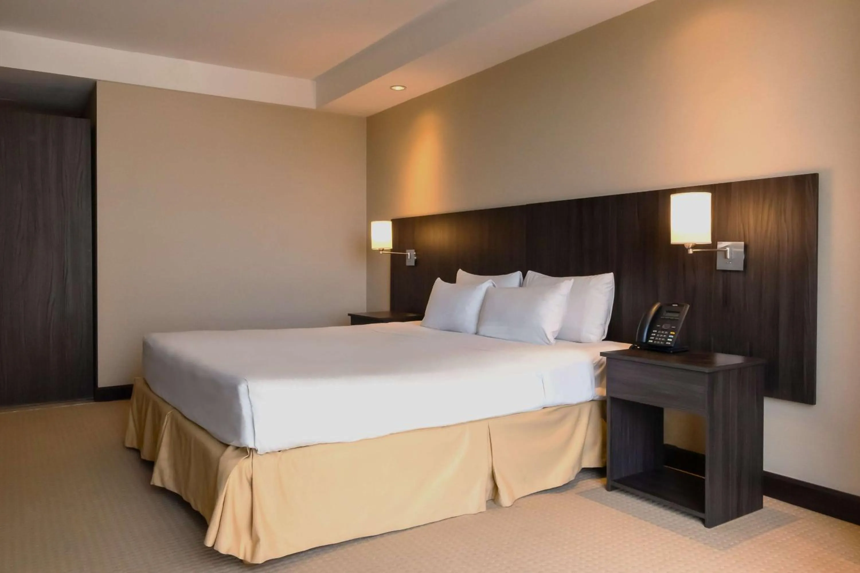 Bed in Hilton Mendoza