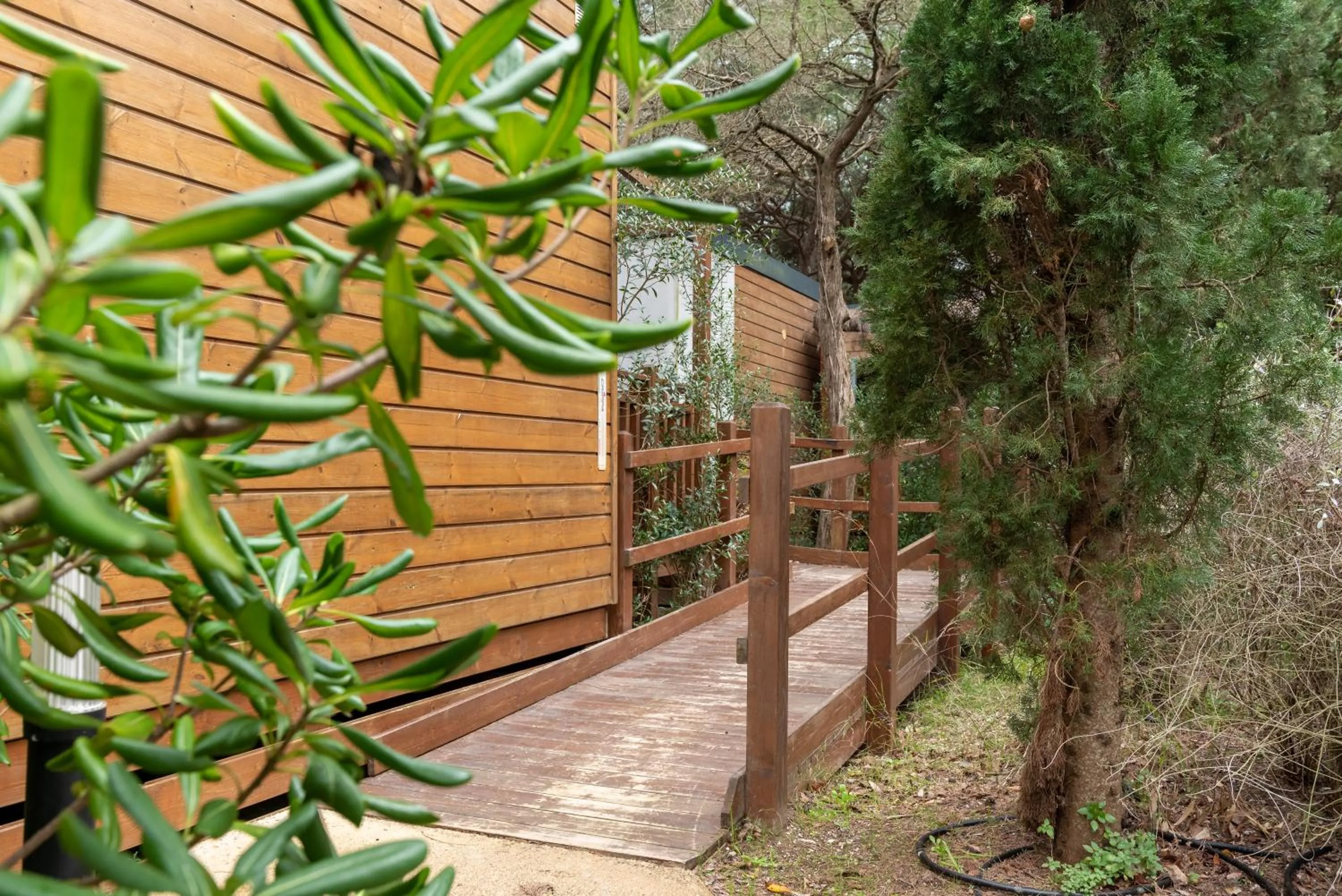 Facade/entrance in Camping Village Santapomata