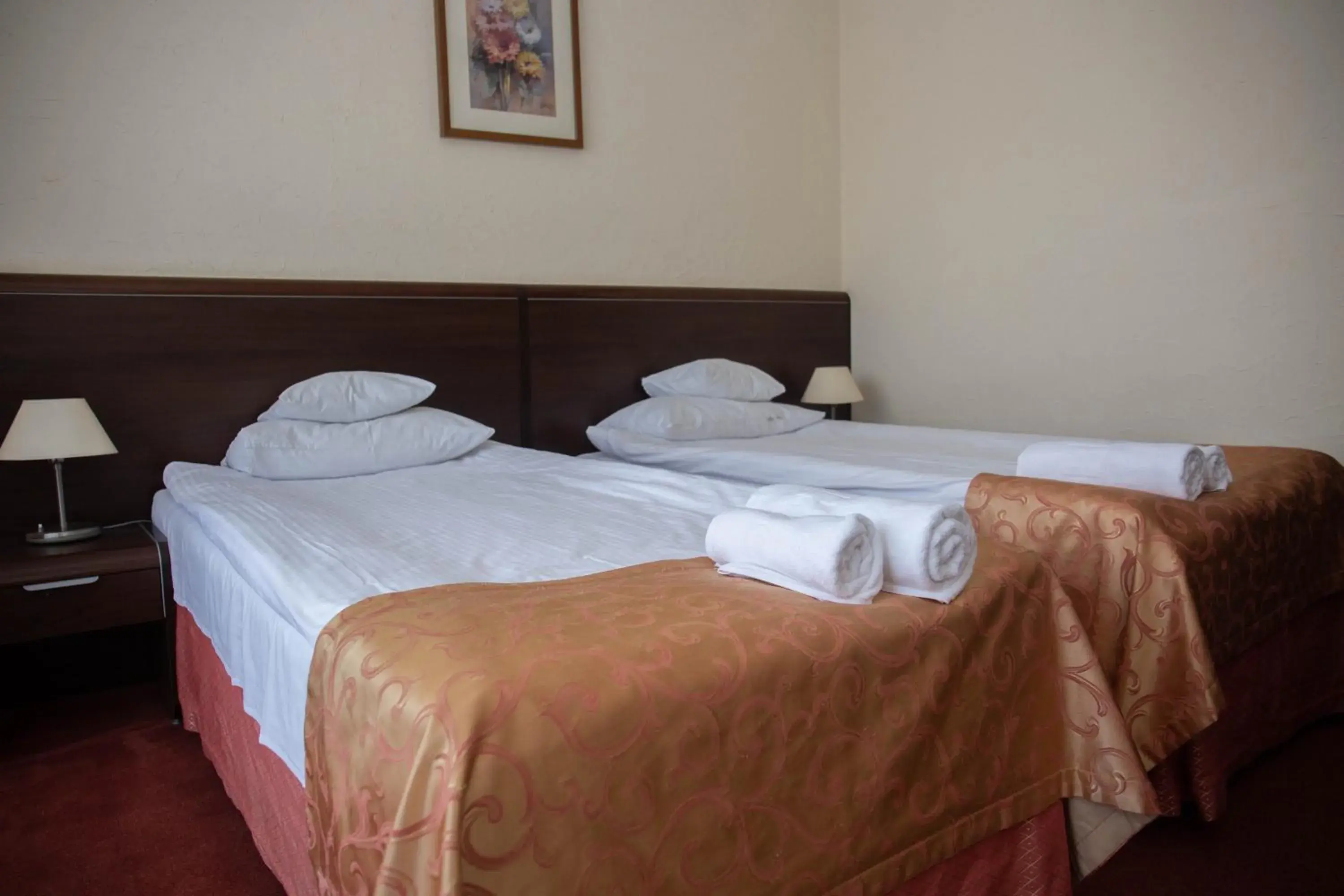 Twin Room with Bathroom - single occupancy in Neptun Twin Room with Bathroom - single occupancy in Neptun