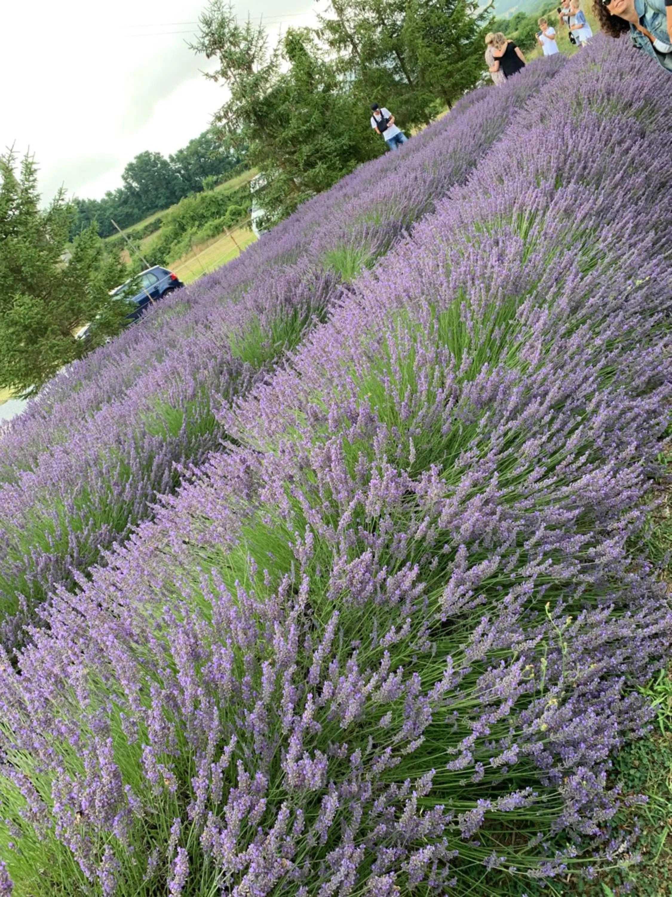 Hotel Locanda dei Trecento