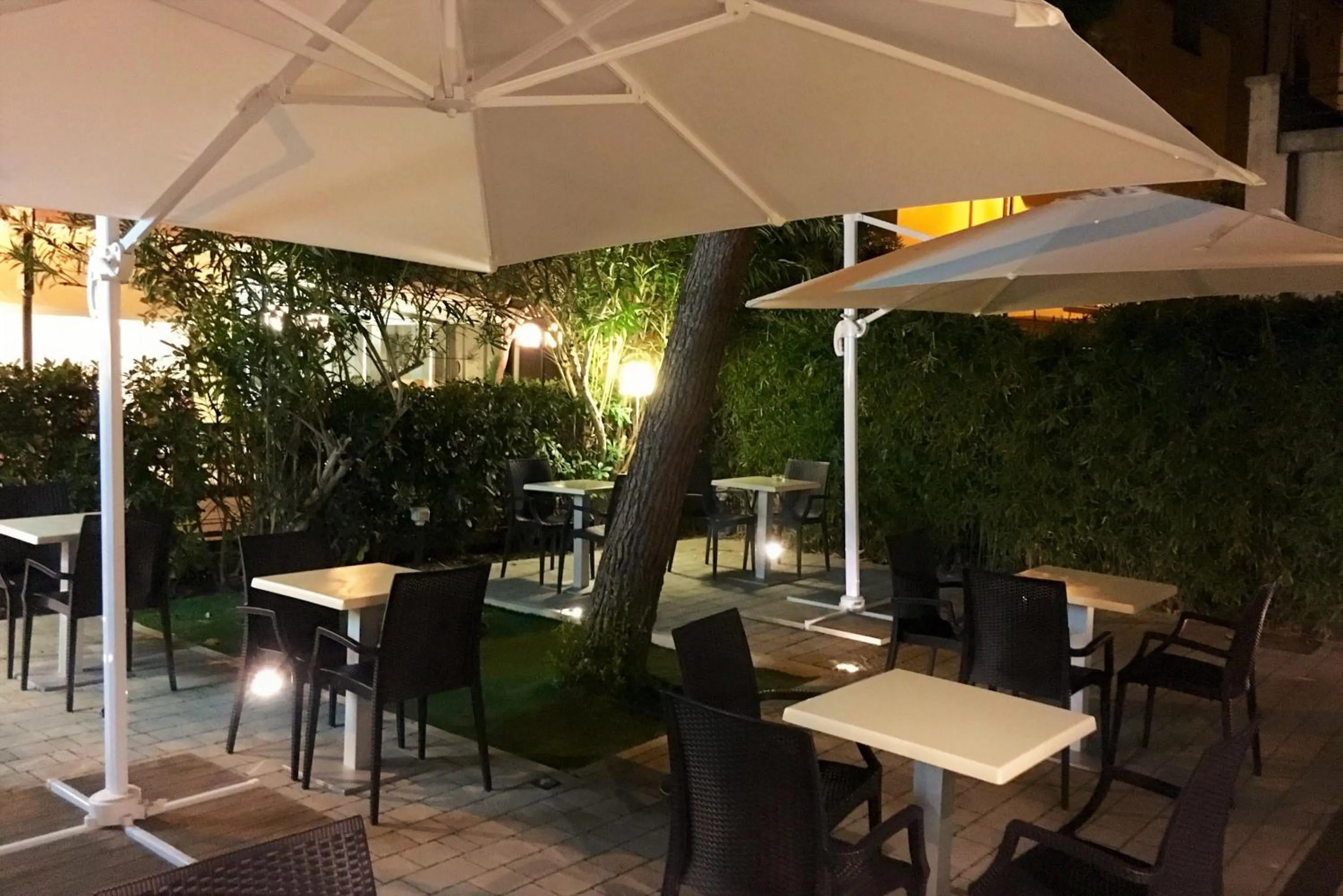 Garden in Hotel Lux