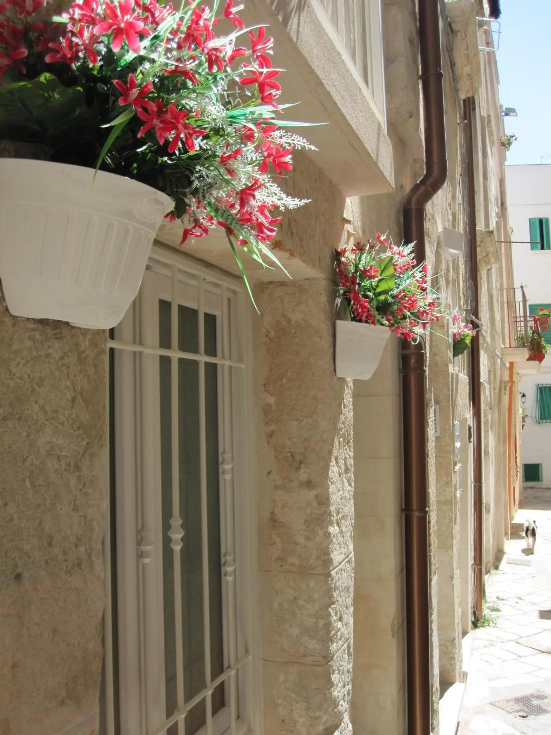 Street view in Casa Nave Street view in Casa Nave