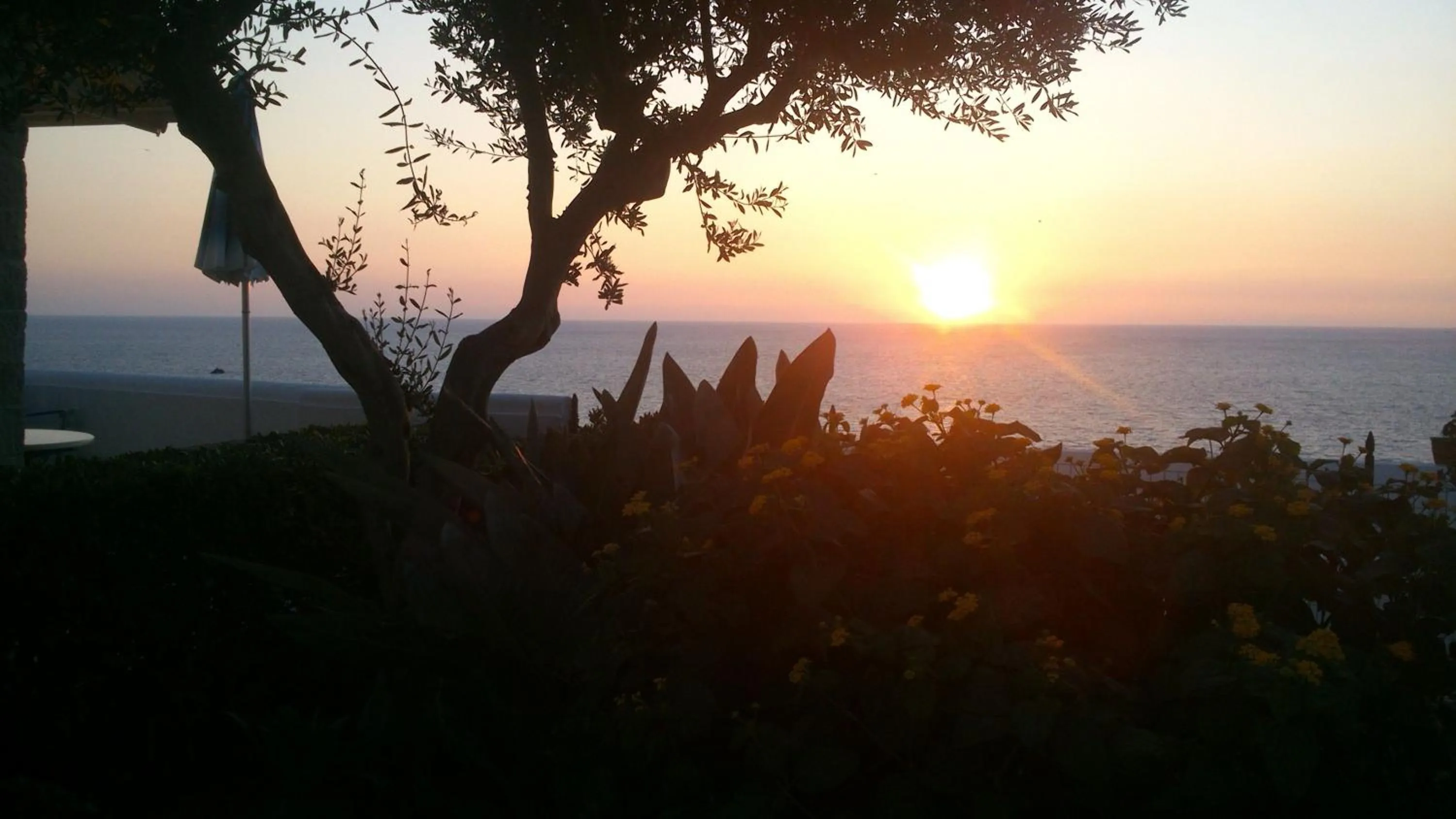 Garden, Sunrise/Sunset in Hotel Imperamare