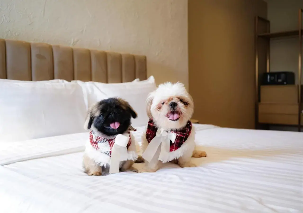 Bed in Away Bangkok Riverside Kene Bed in Away Bangkok Riverside Kene