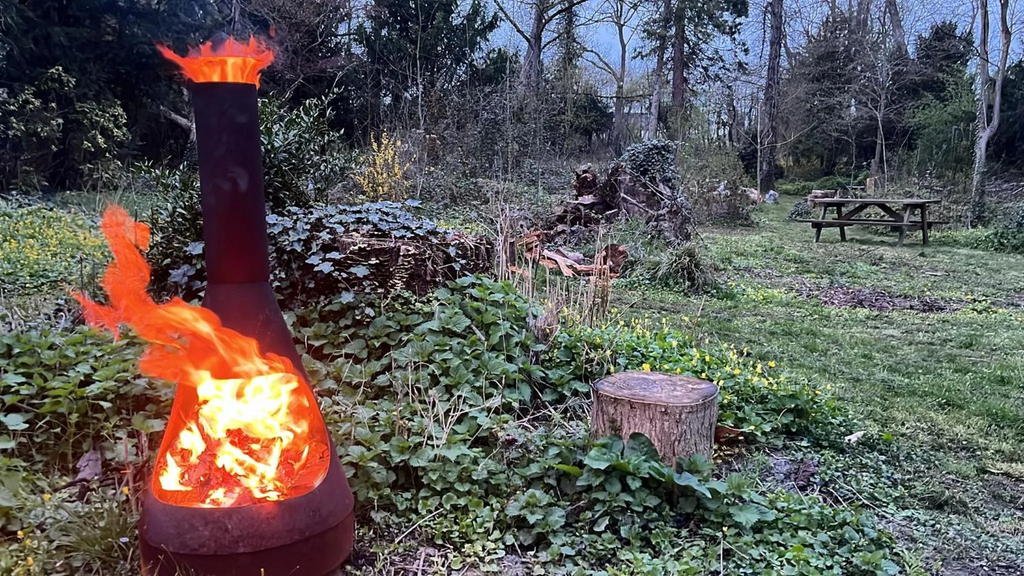 Garden in YXIE - Manoir des Arts