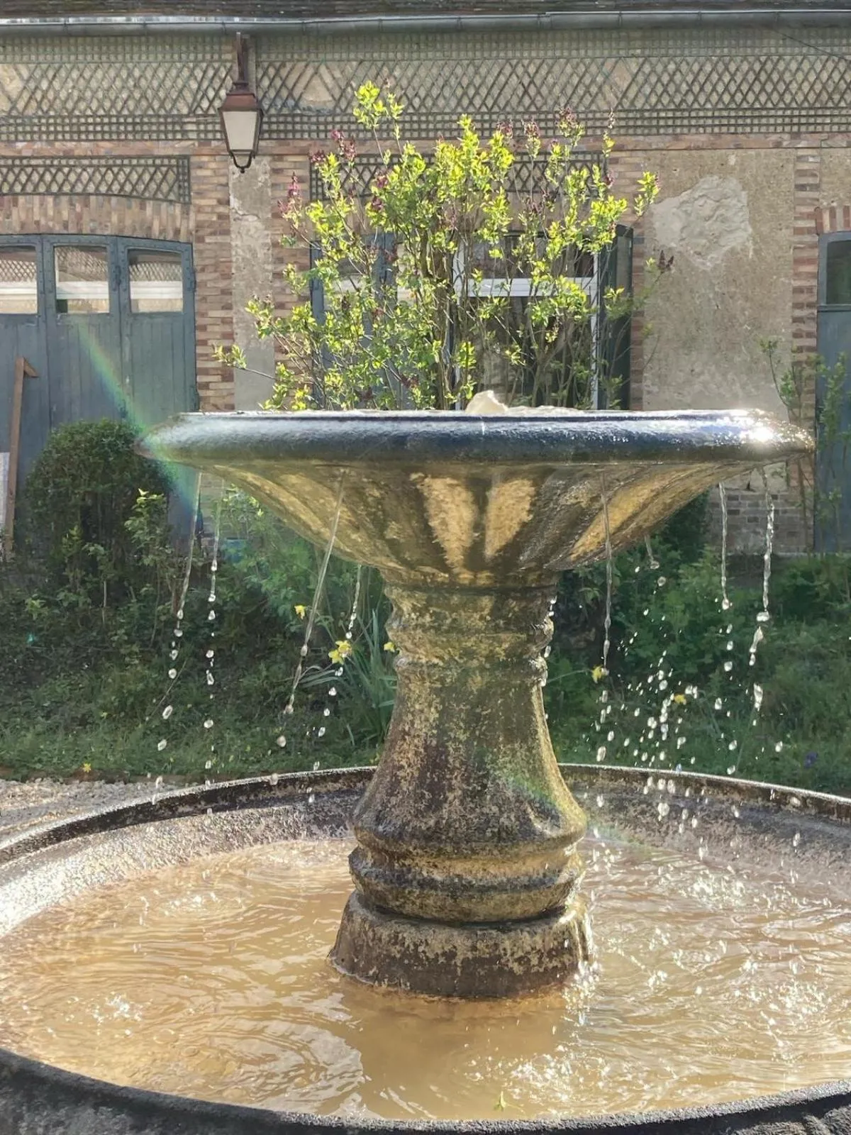 Garden in YXIE - Manoir des Arts