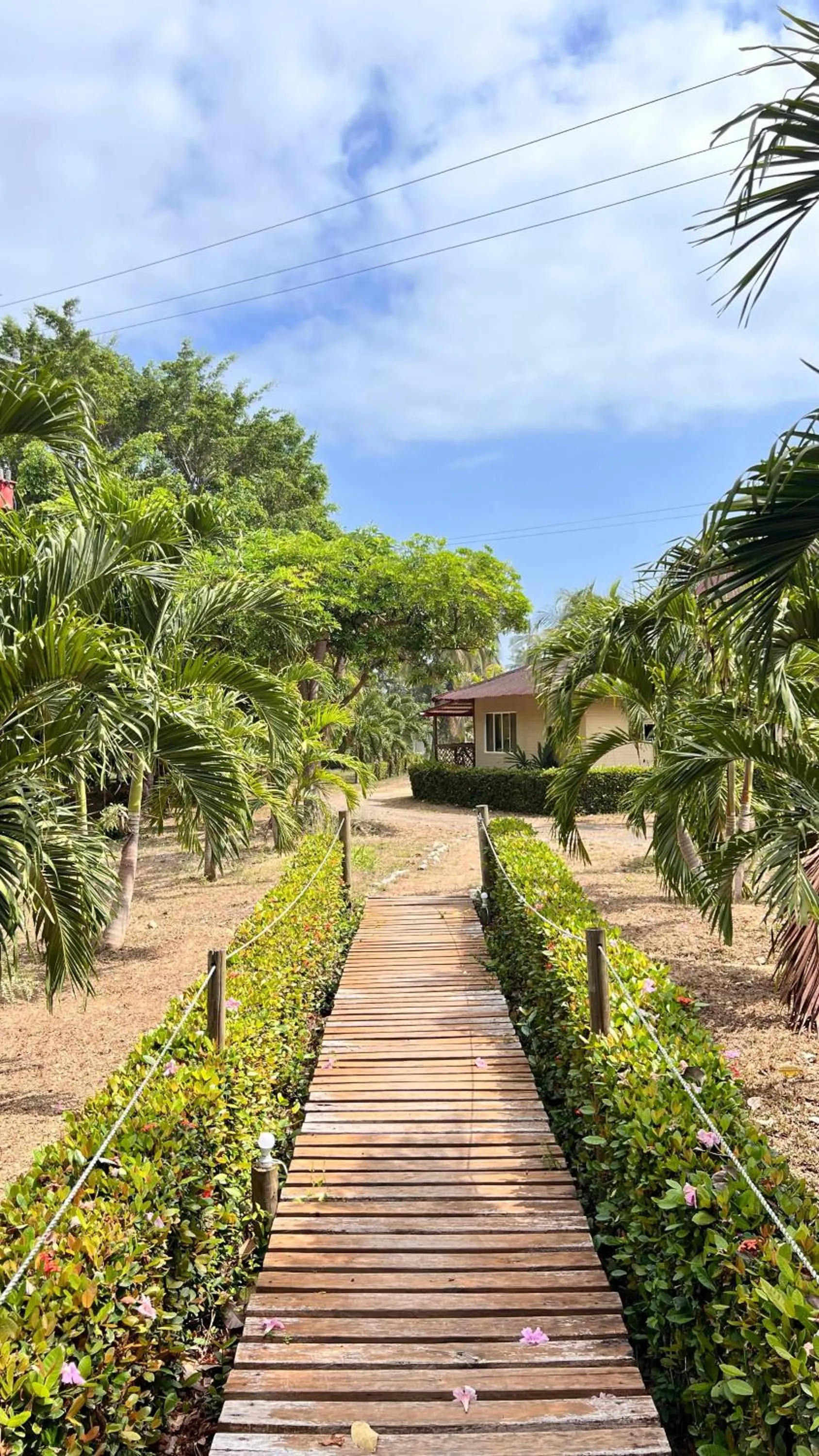 Hotel Playa Mandala