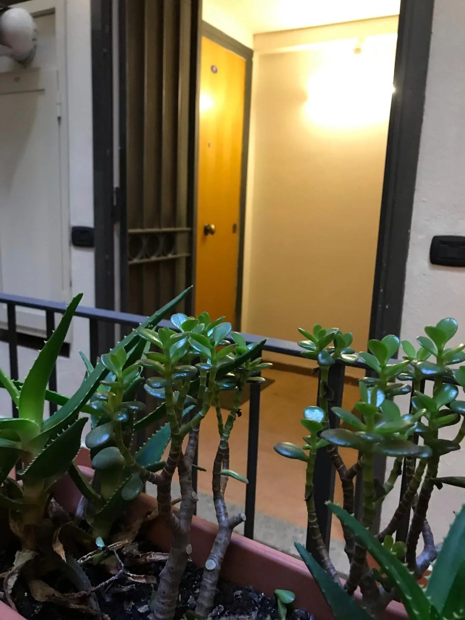 Decorative detail in Case Così Apartments - Napoli