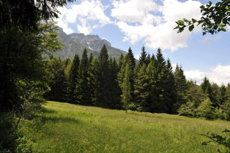 Natural landscape in Al Pian Garnì - B&B & Pizza