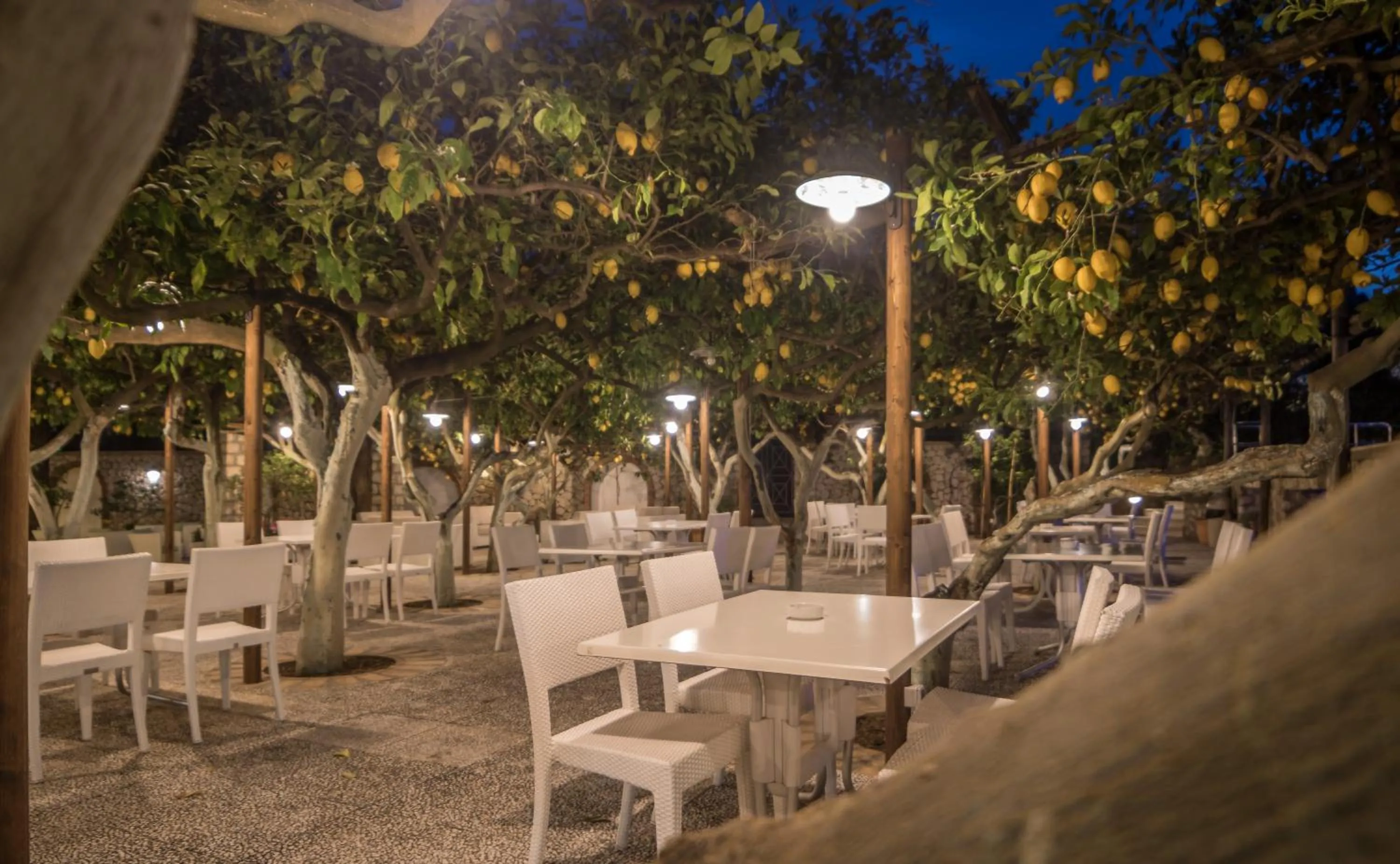 Restaurant/places to eat in Hotel Syrene