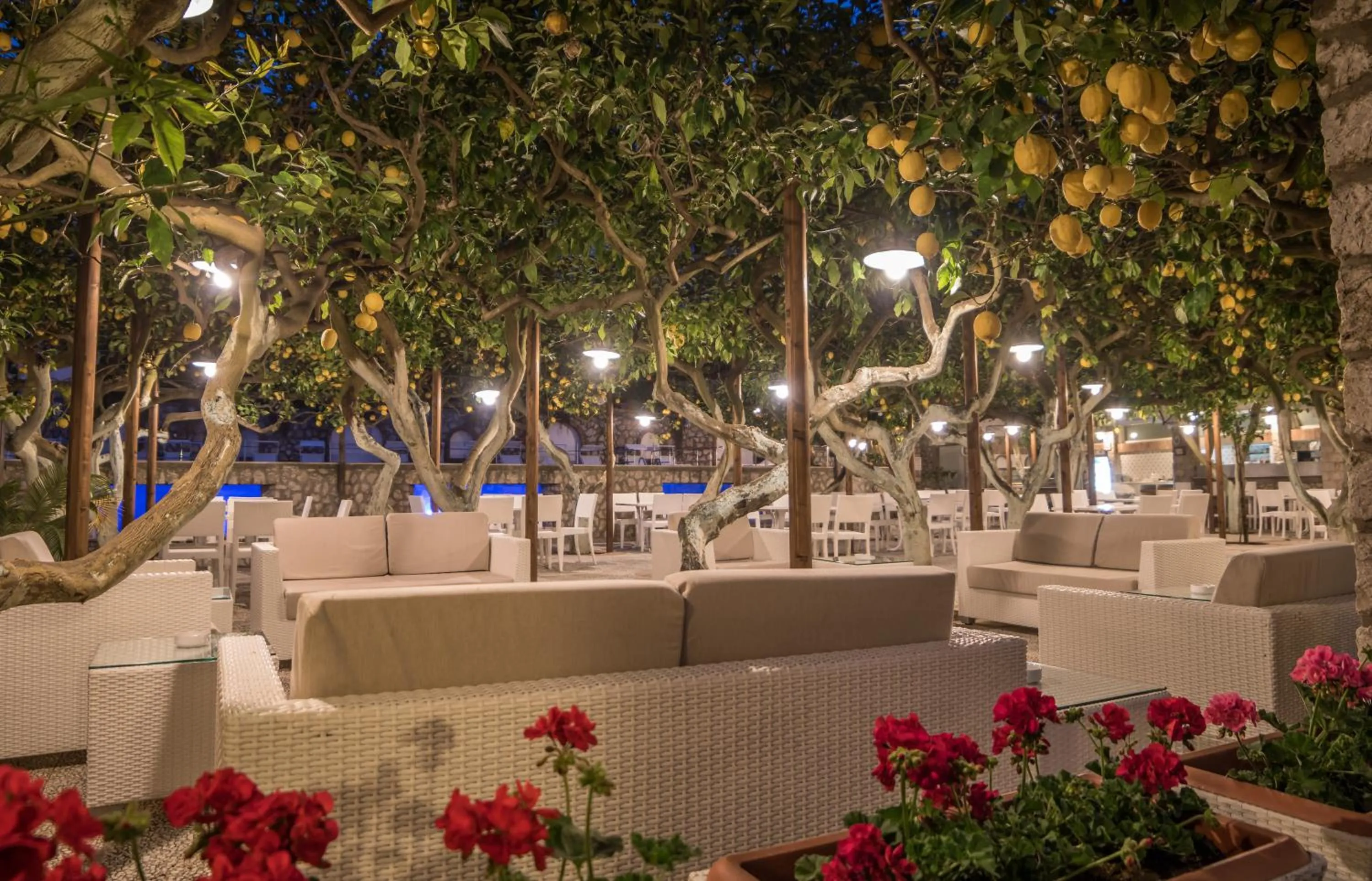 Restaurant/places to eat in Hotel Syrene