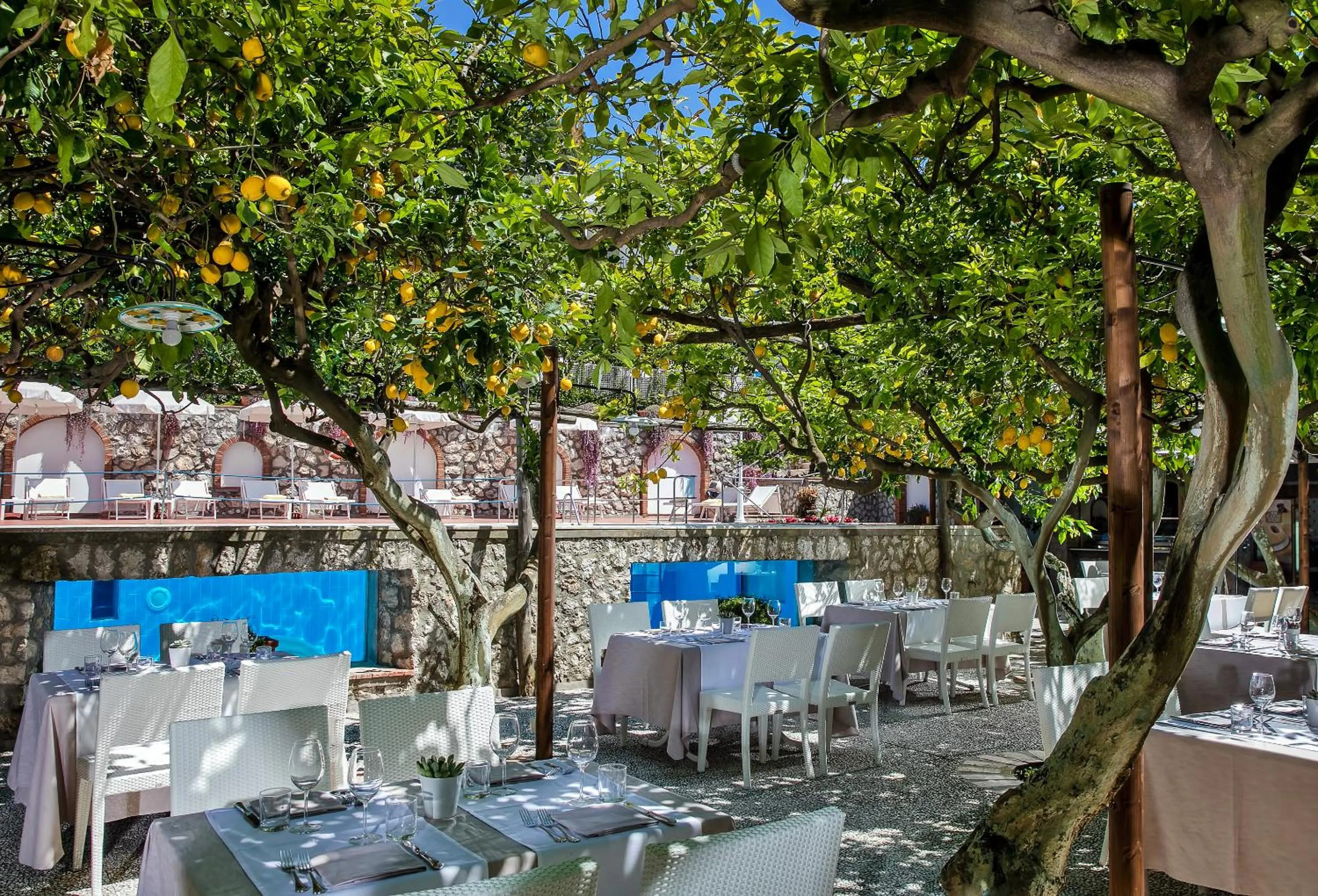 Restaurant/places to eat in Hotel Syrene