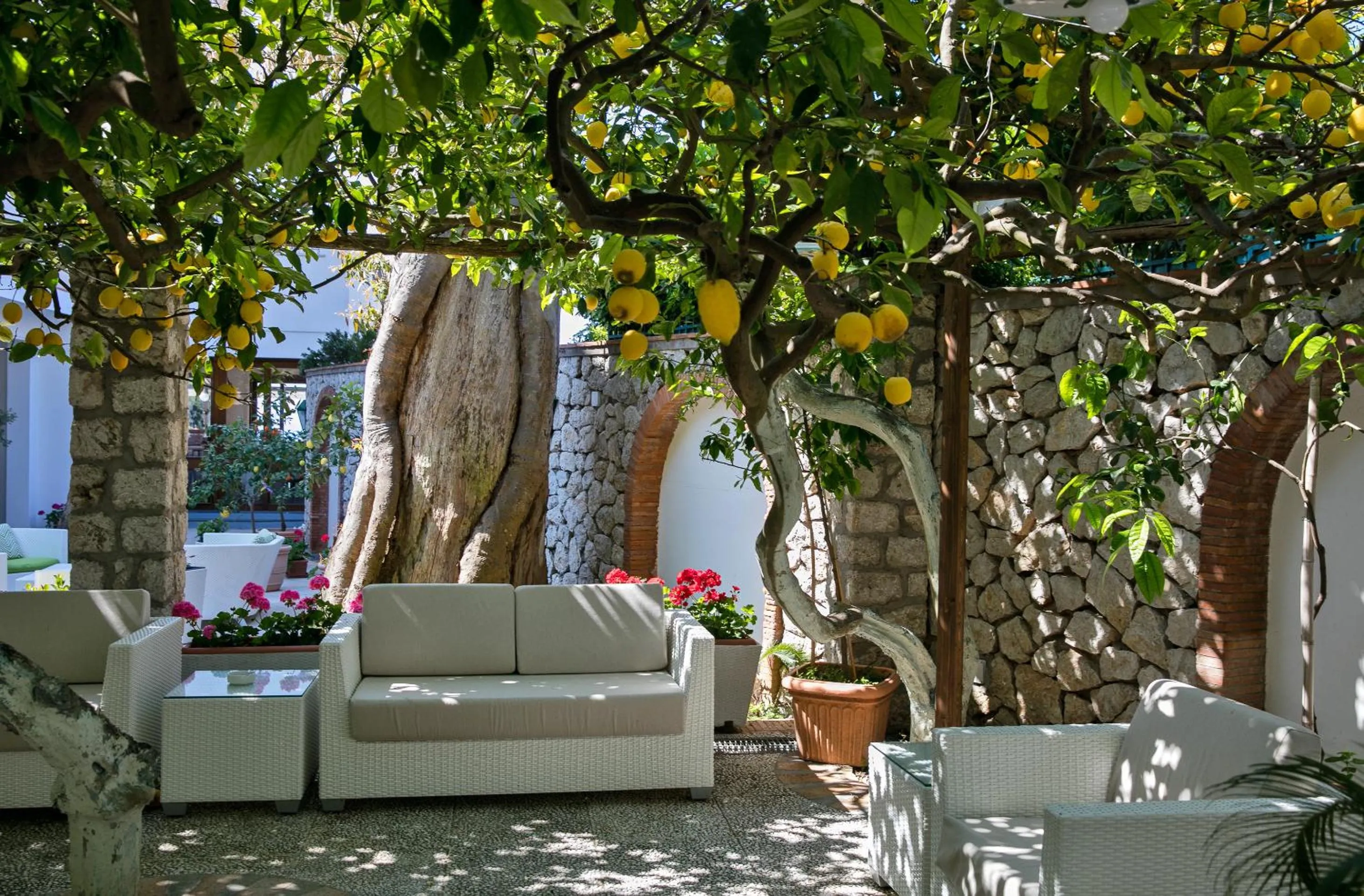 Patio in Hotel Syrene