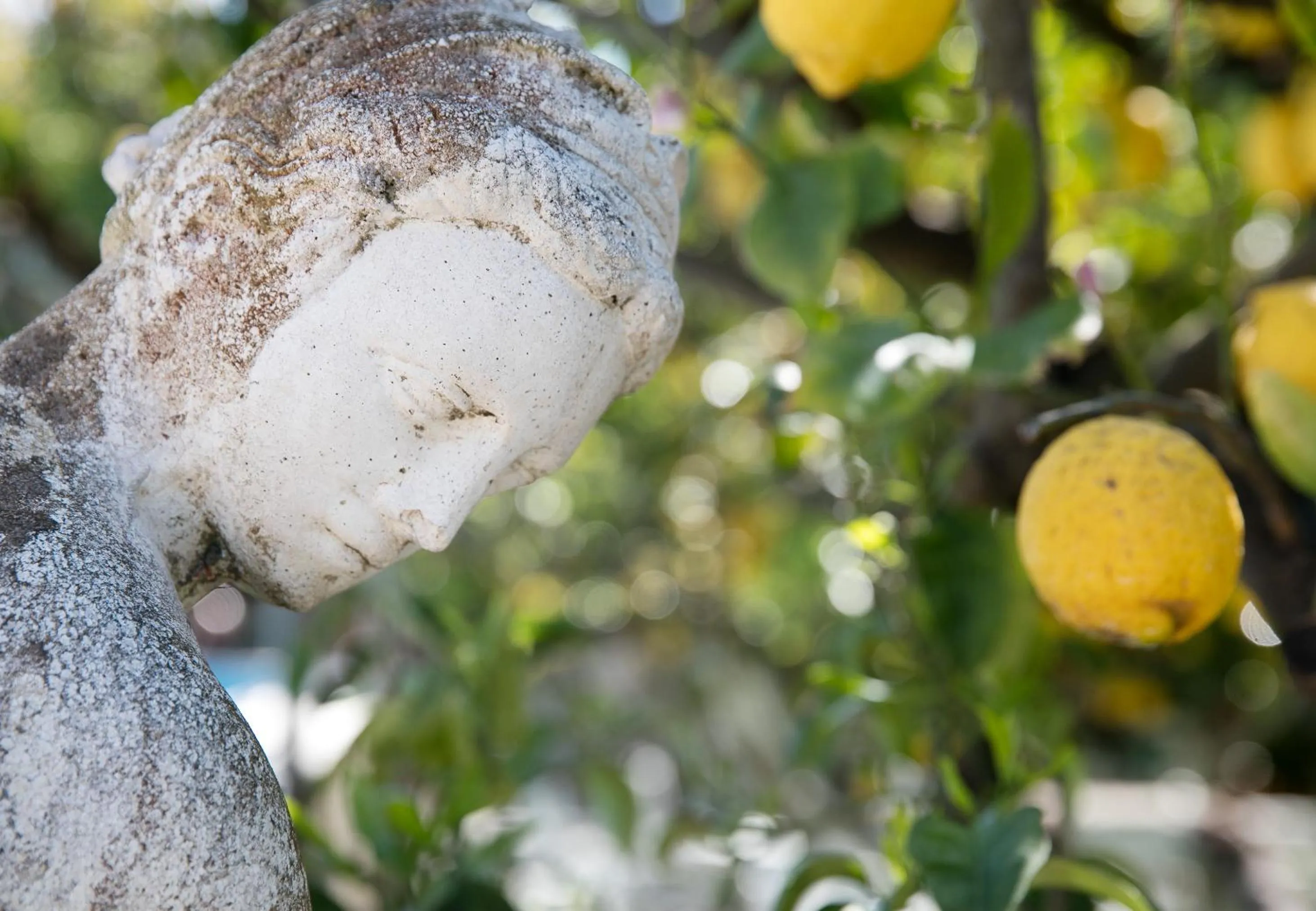 Decorative detail in Hotel Syrene