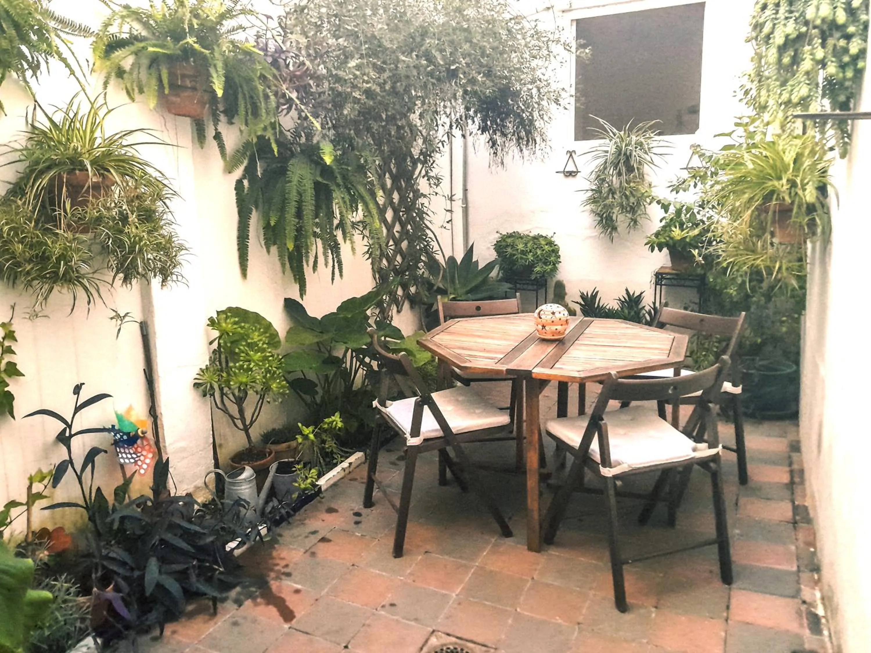 Patio in Casa Miraflores