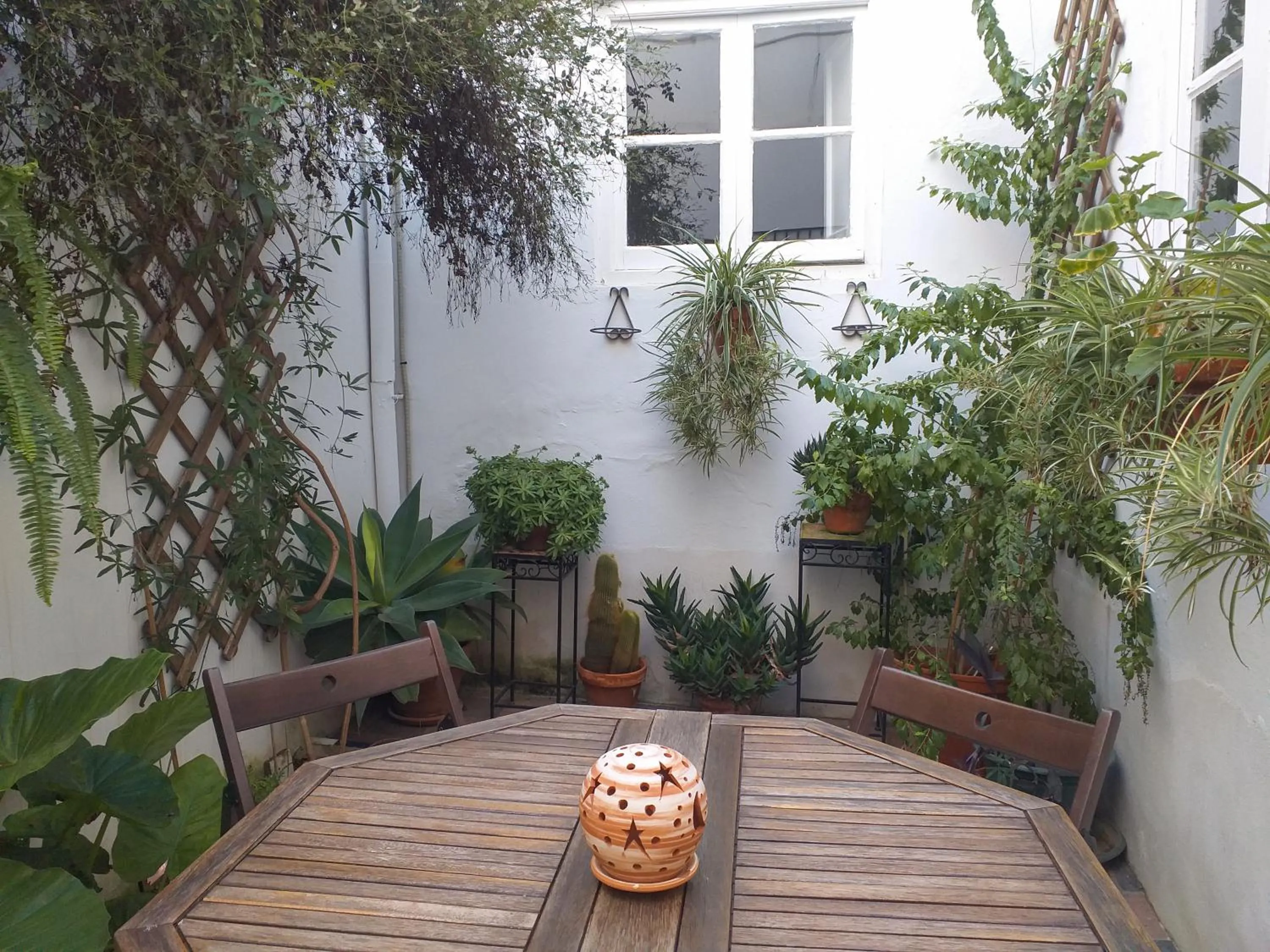 Patio in Casa Miraflores