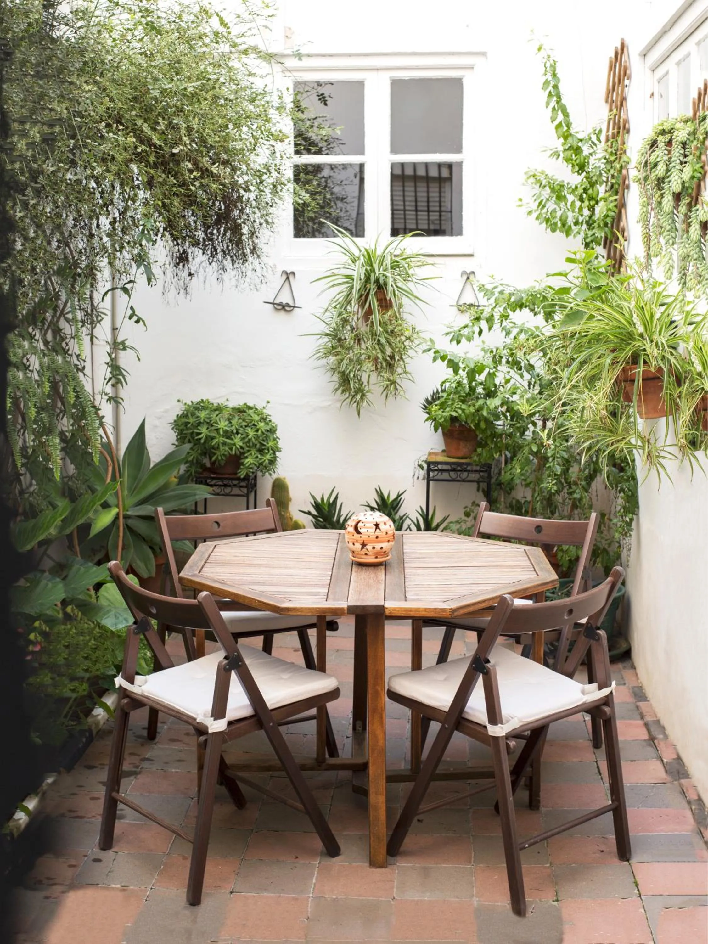 Patio in Casa Miraflores