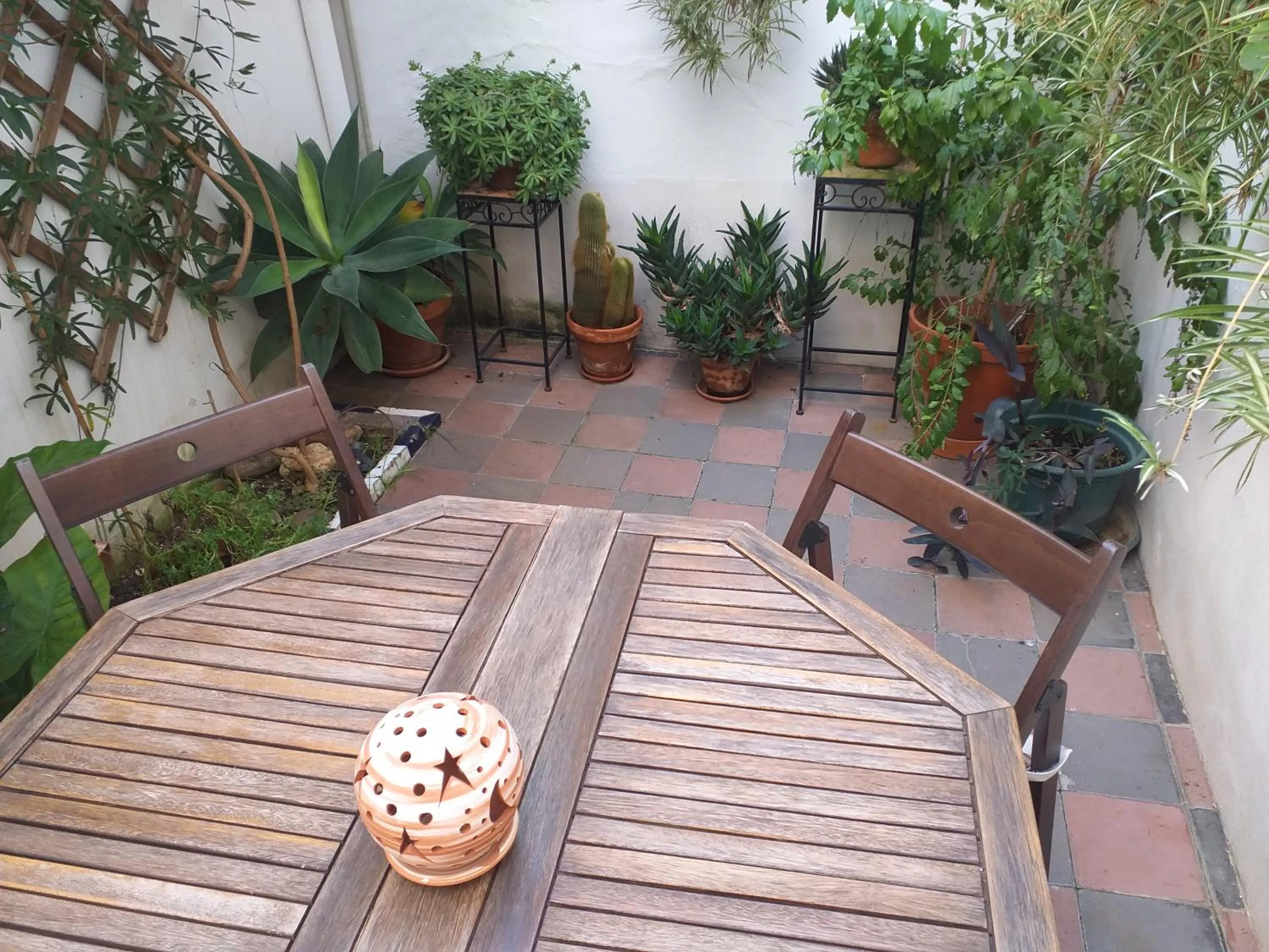 Patio in Casa Miraflores