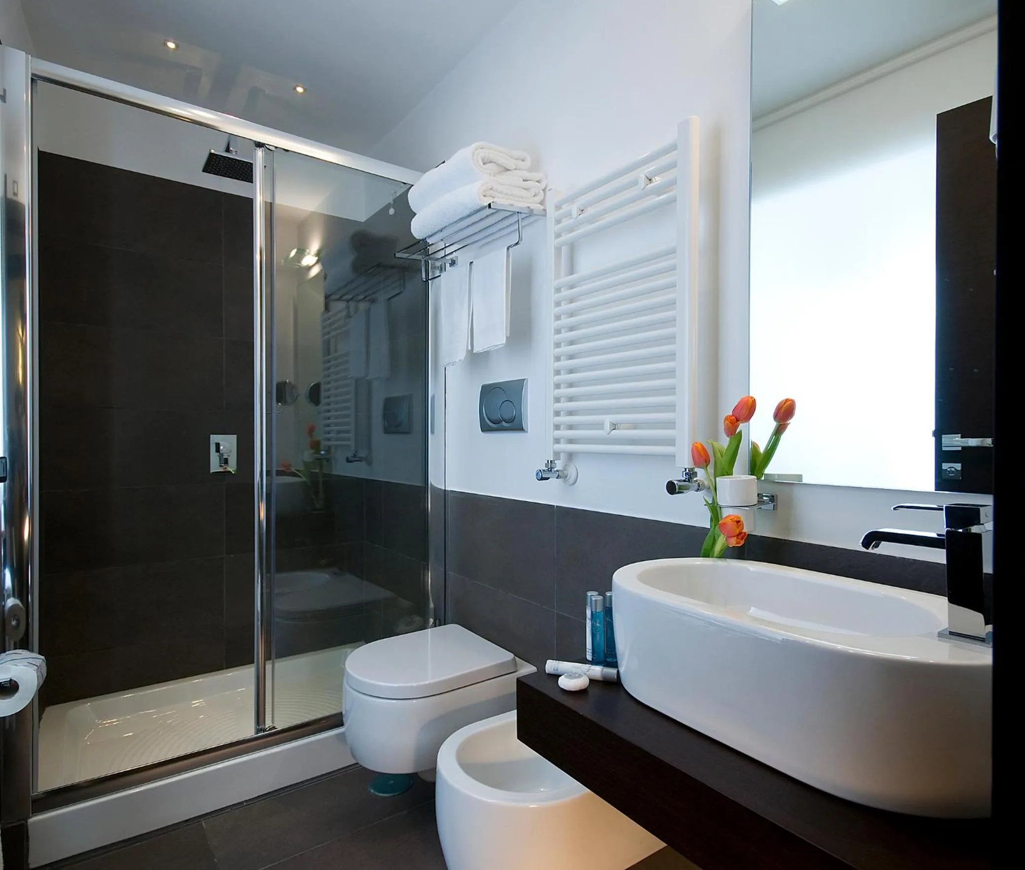 Shower in Hotel Rinascimento