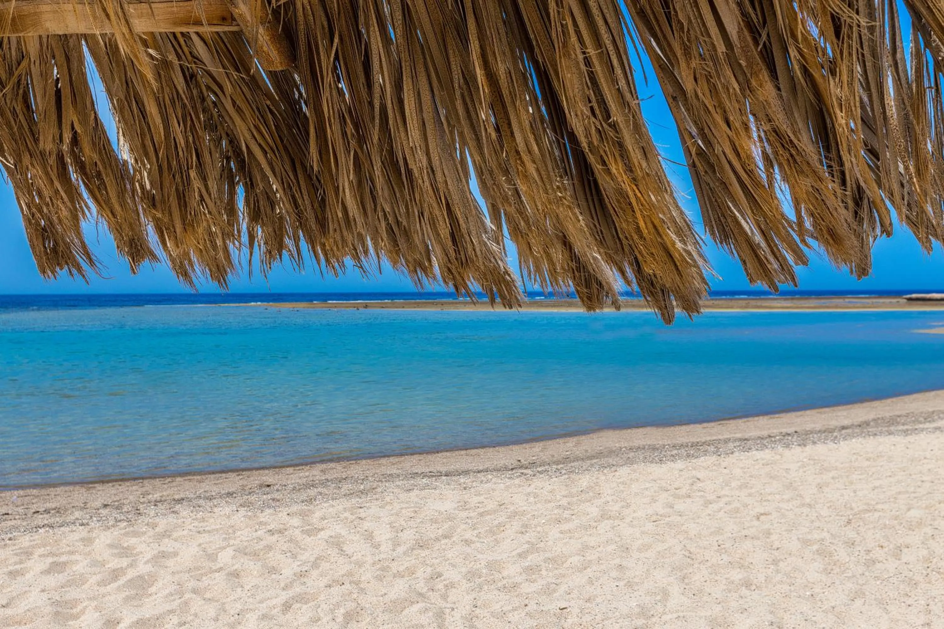 Beach in Utopia Beach Club