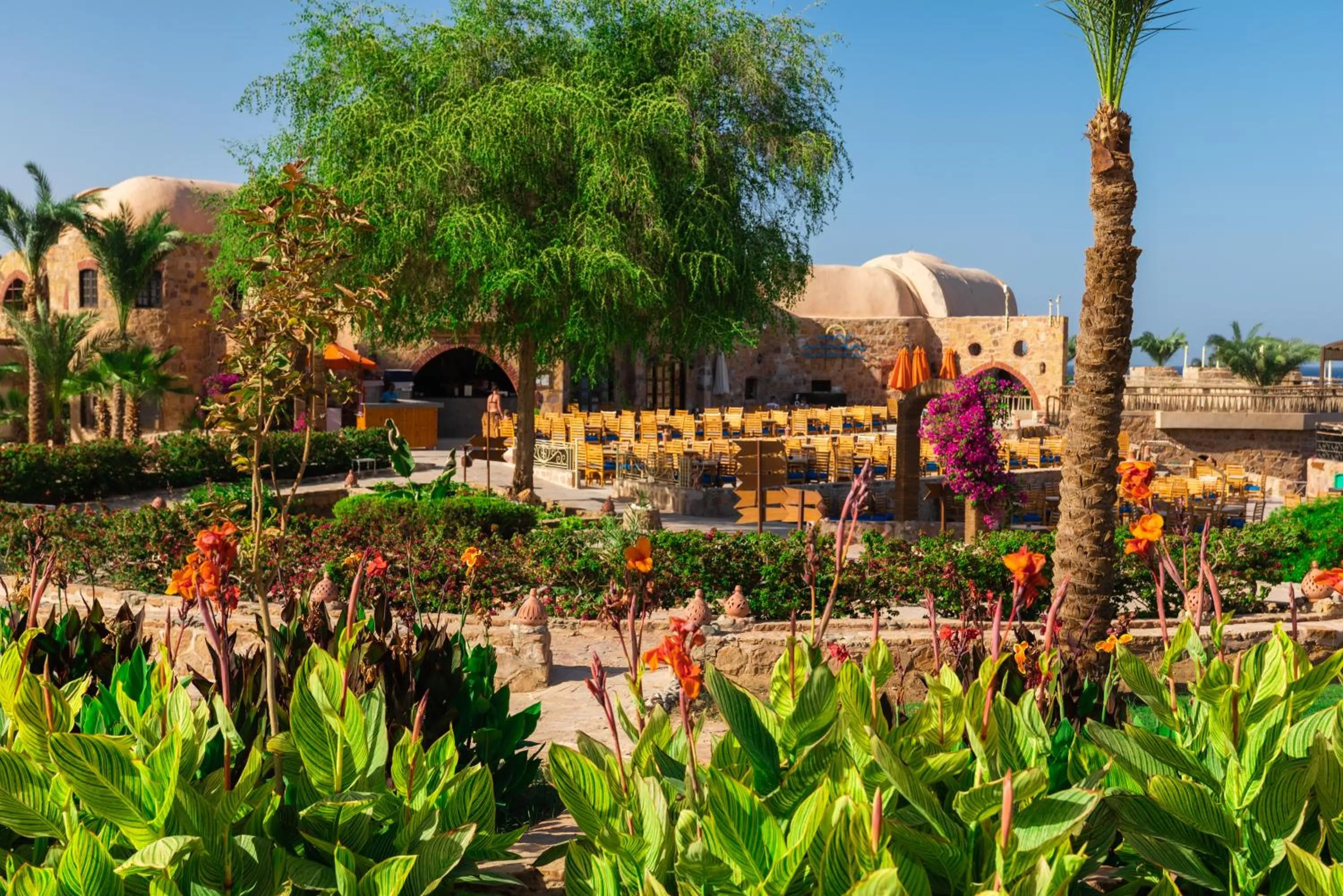 Lounge or bar in Utopia Beach Club