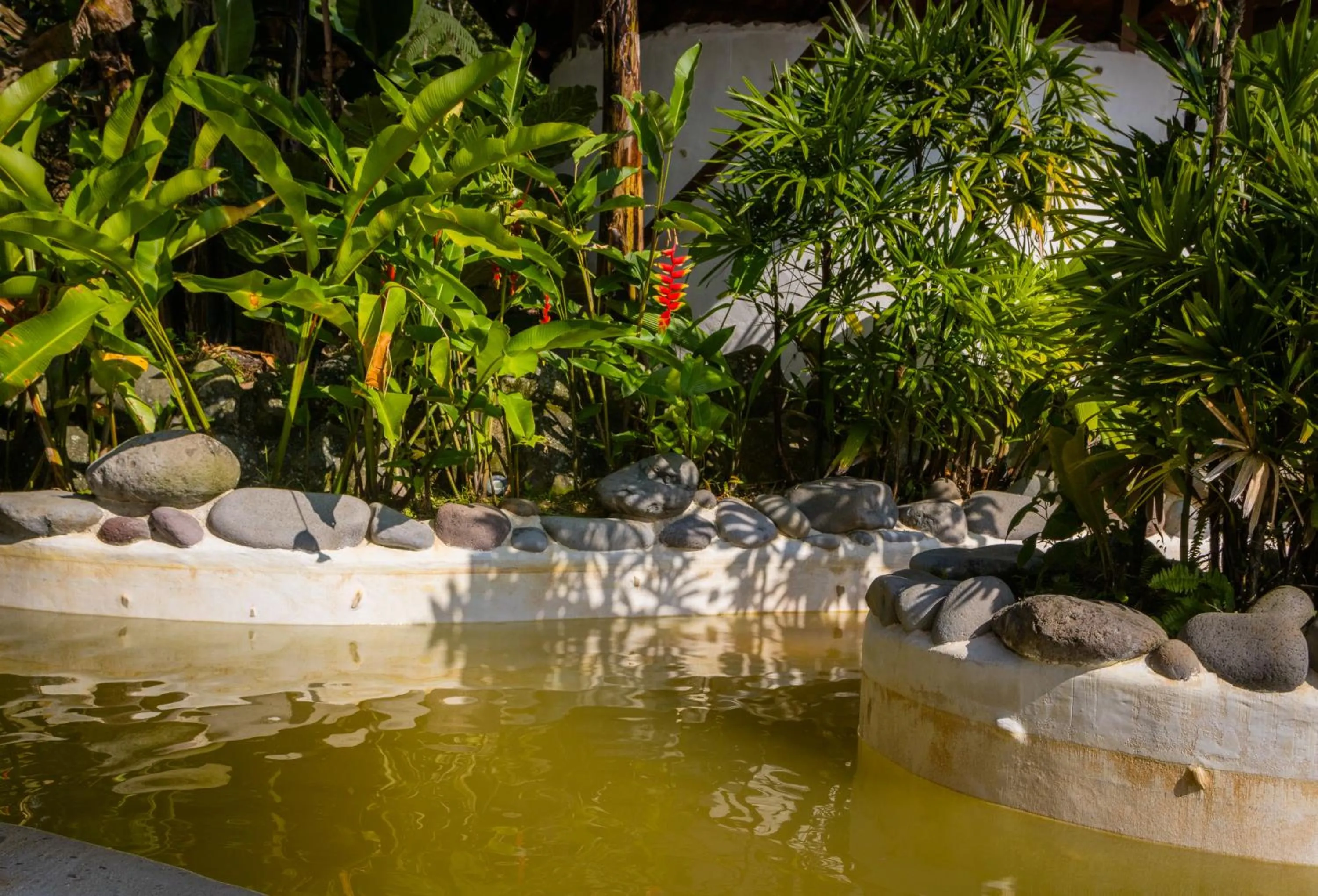 Spring in Miradas Arenal Hotel & Hotsprings