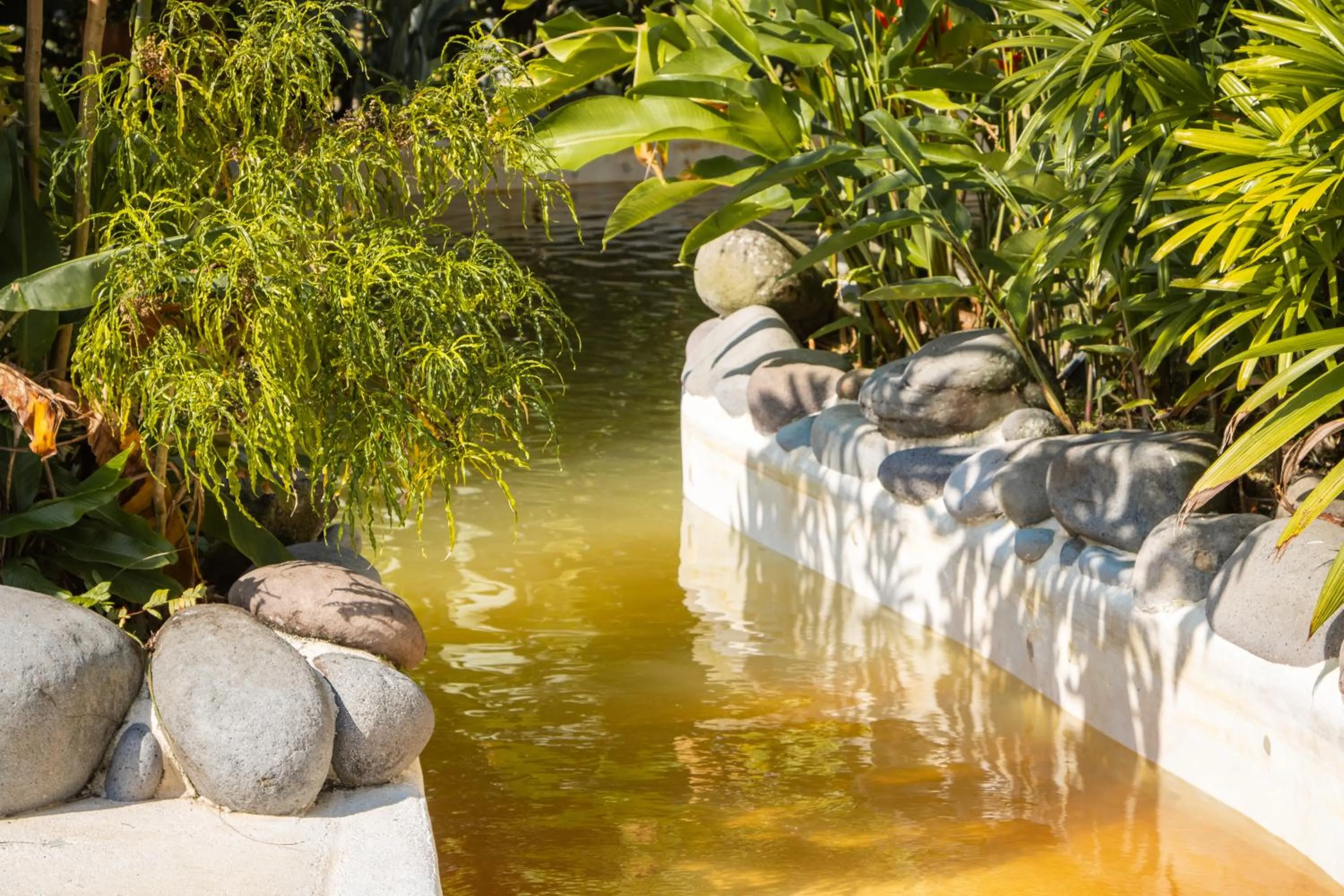 Spring in Miradas Arenal Hotel & Hotsprings