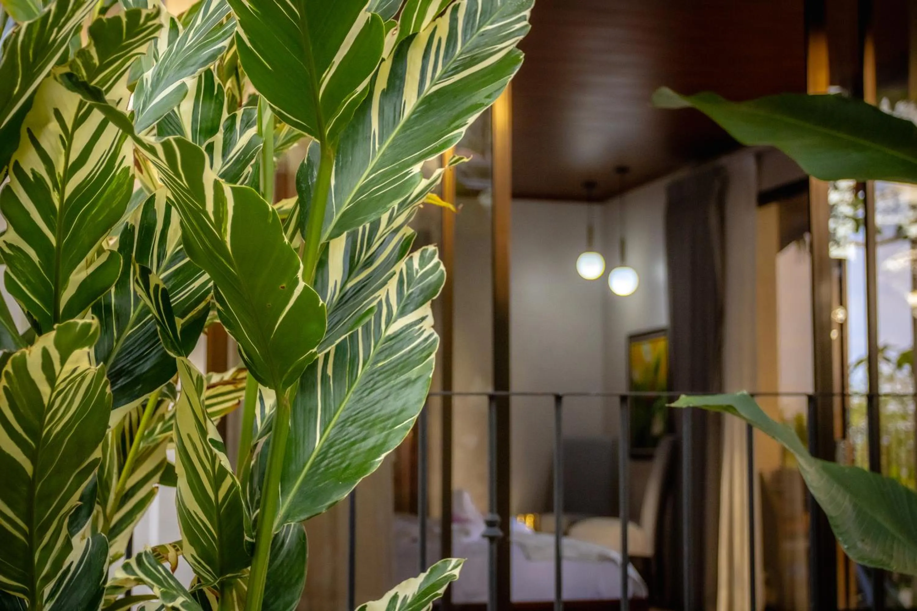 Garden in Miradas Arenal Hotel & Hotsprings