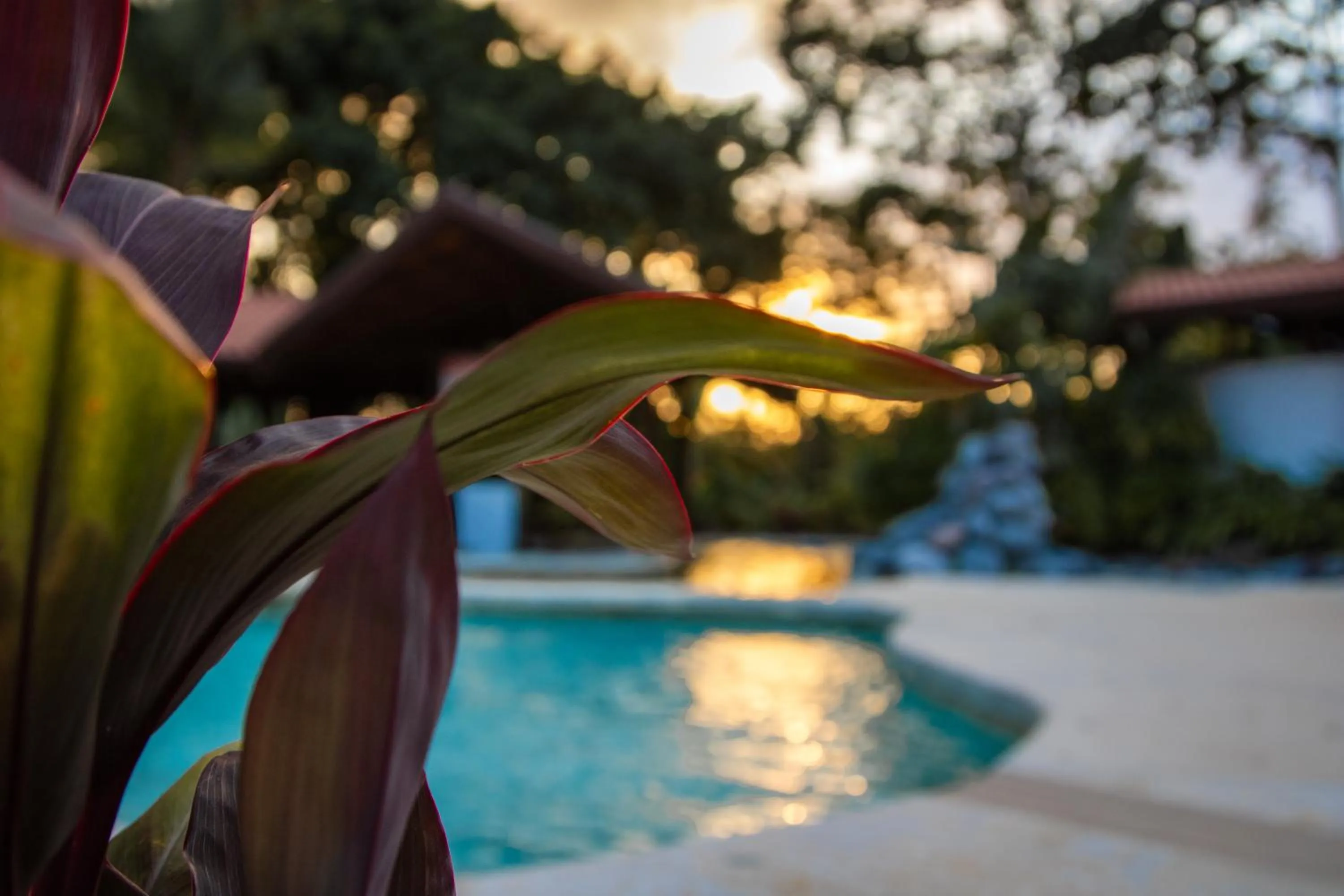 Garden in Miradas Arenal Hotel & Hotsprings