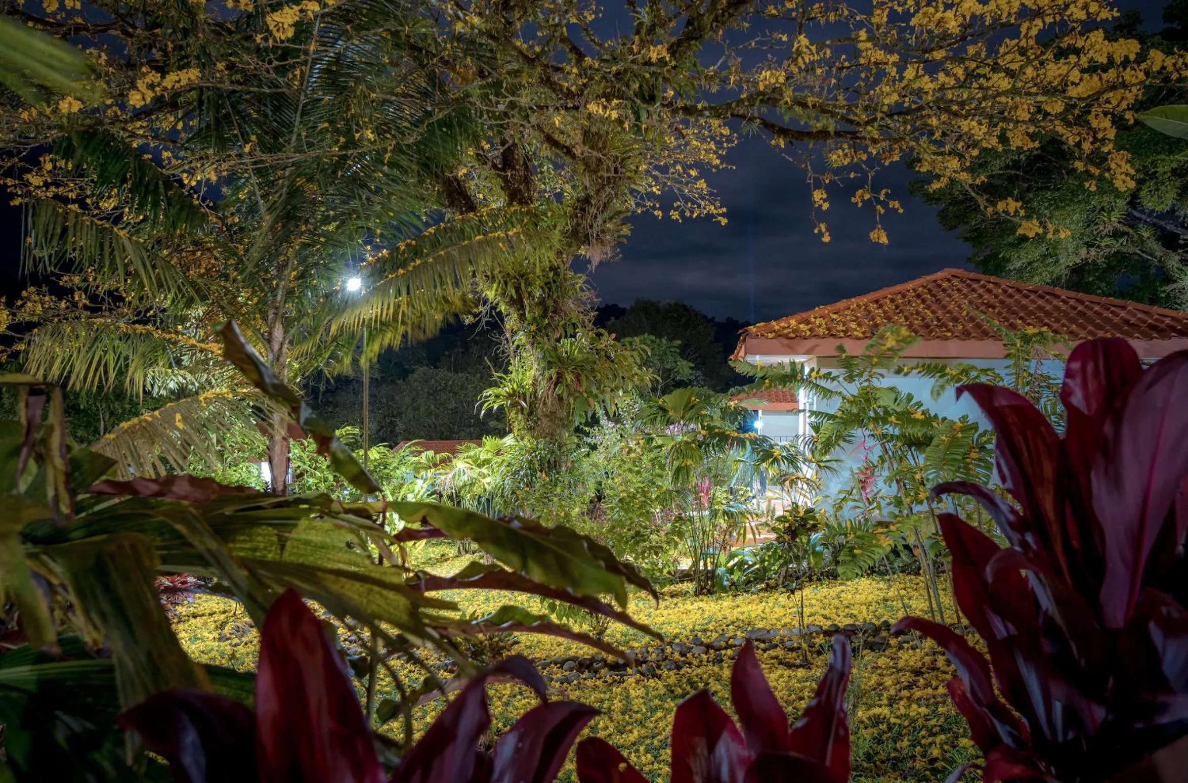 Garden in Miradas Arenal Hotel & Hotsprings