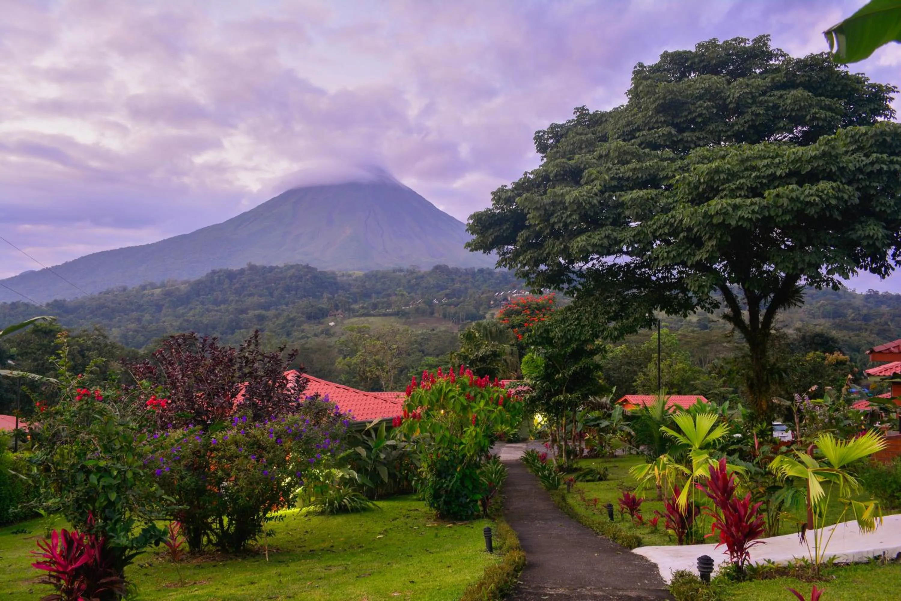 Area and facilities in Miradas Arenal Hotel & Hotsprings