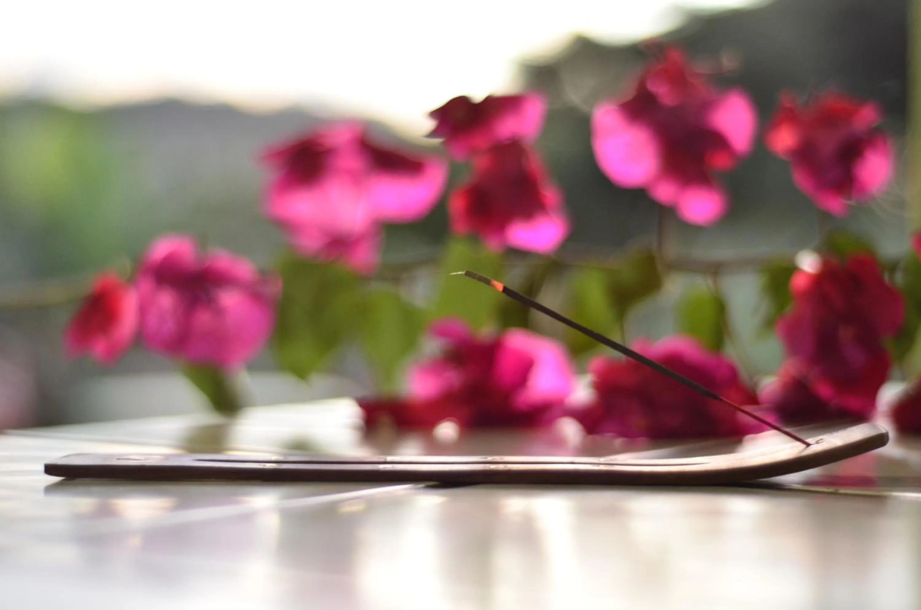 Decorative detail in Miradas Arenal Hotel & Hotsprings