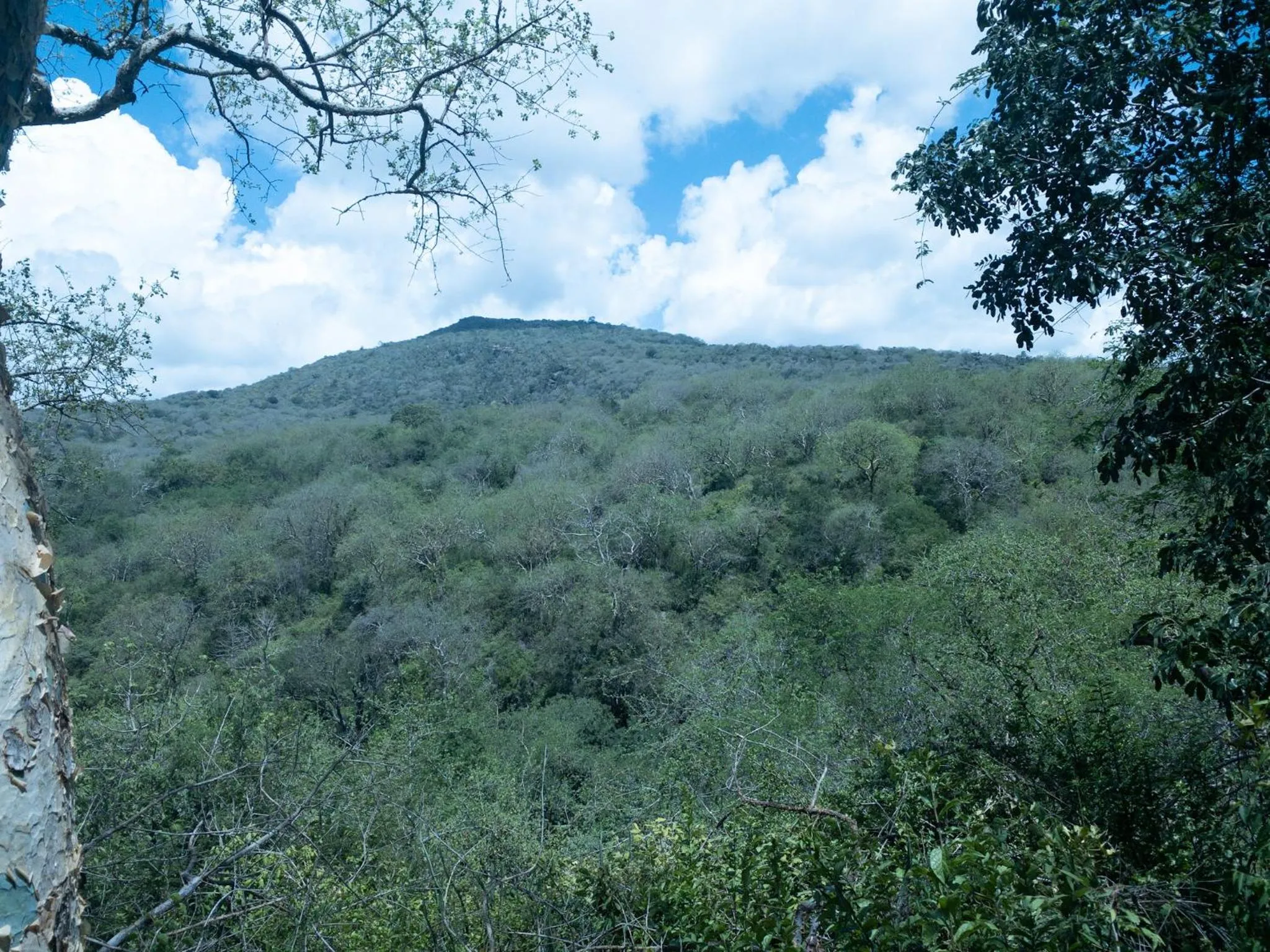 Mountain view in Mkomazi Hotels and Camps