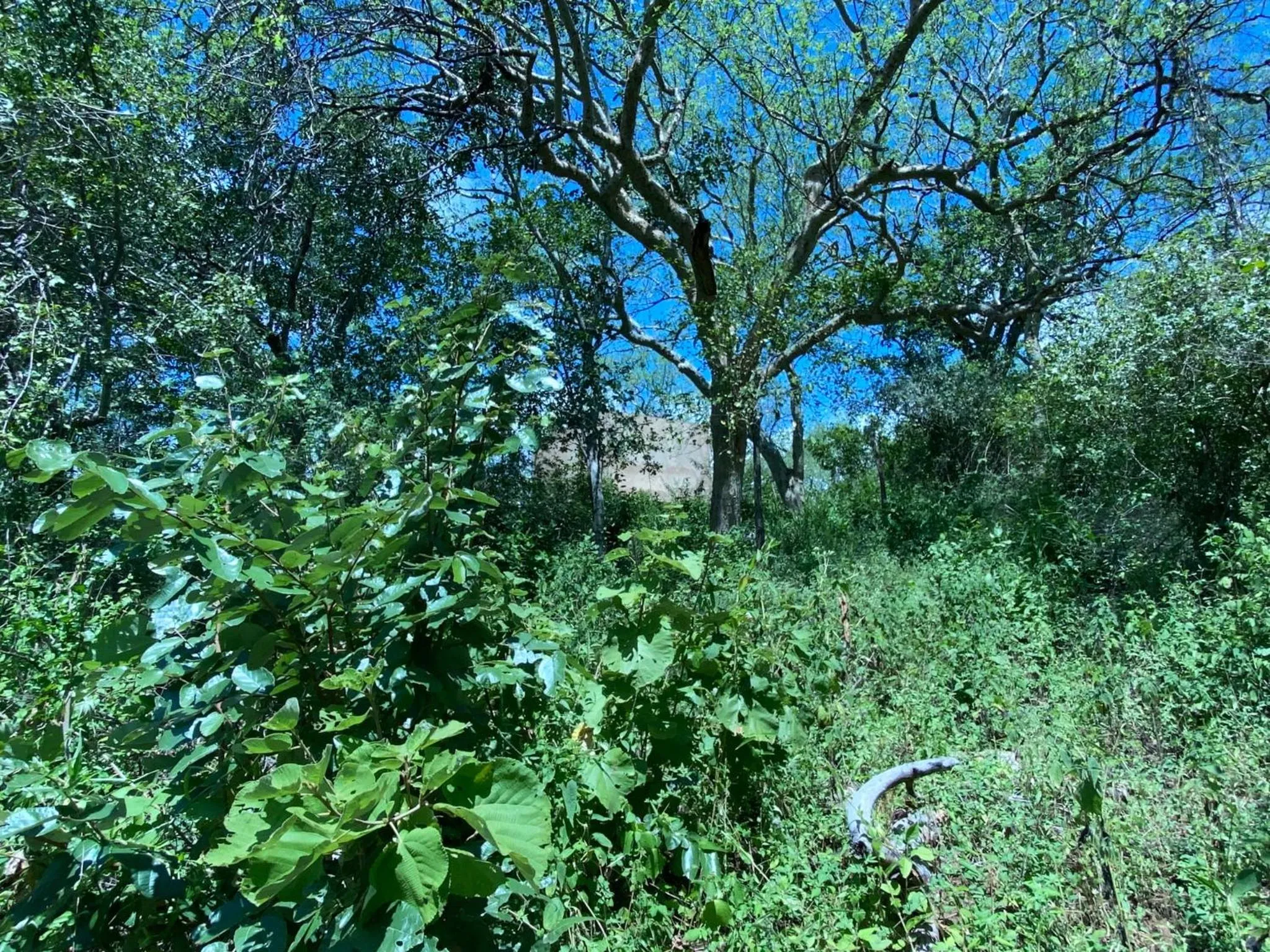 Natural landscape in Mkomazi Hotels and Camps