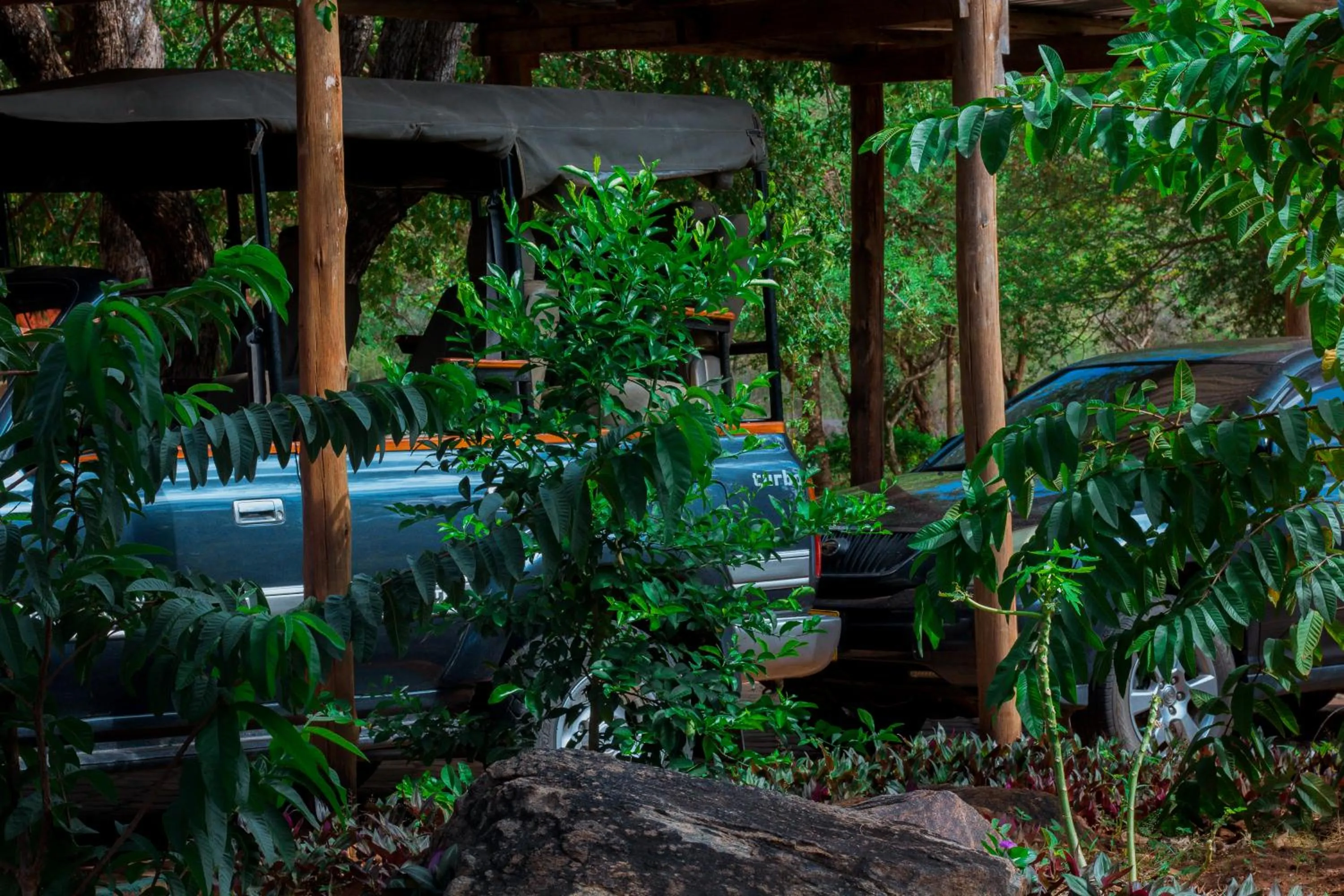 Garden in Mkomazi Hotels and Camps