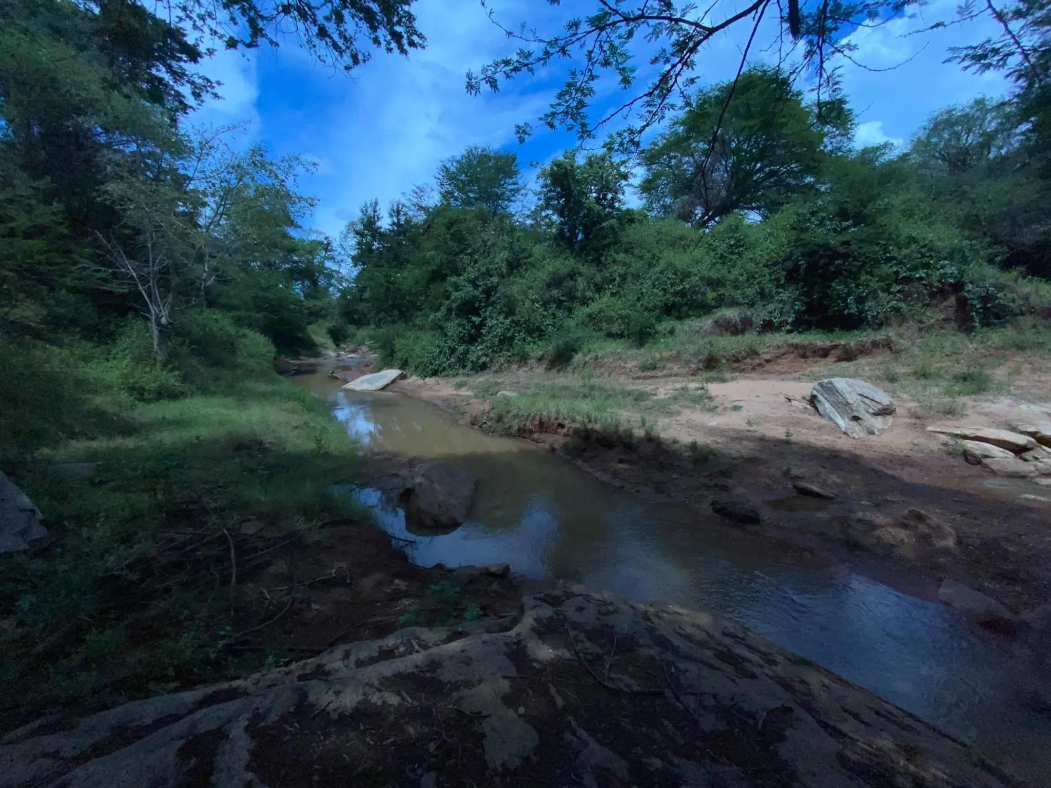 River view in Mkomazi Hotels and Camps