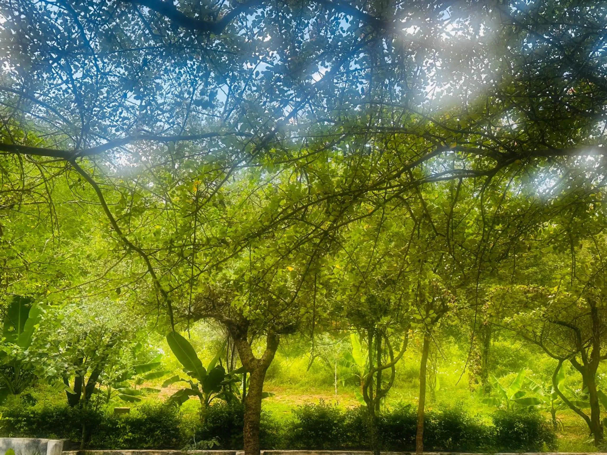 Natural landscape in Mkomazi Hotels and Camps