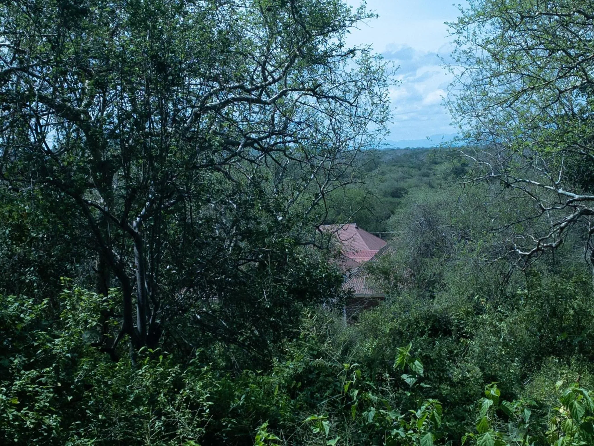 View (from property/room) in Mkomazi Hotels and Camps