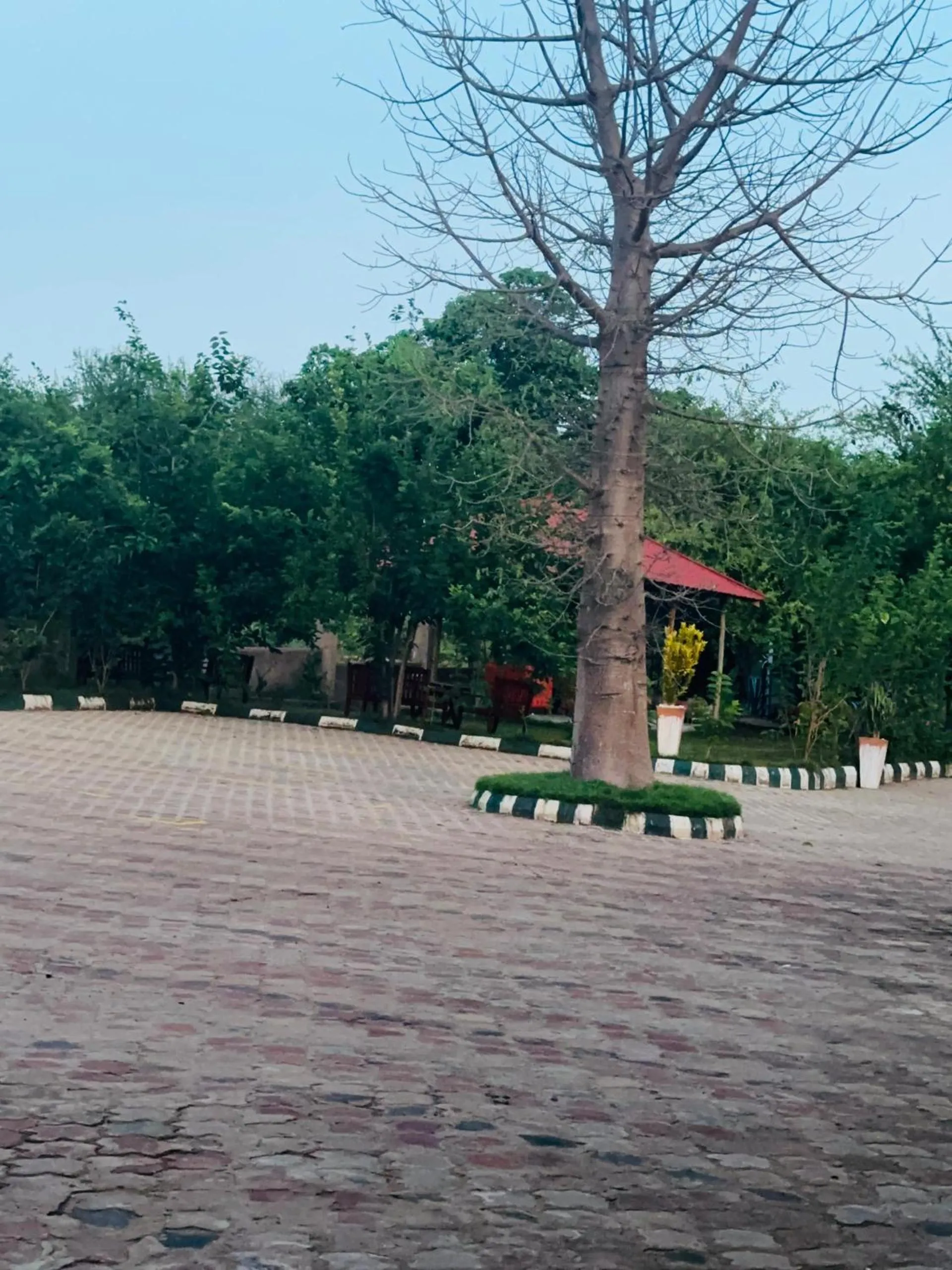 Natural landscape in Mkomazi Hotels and Camps