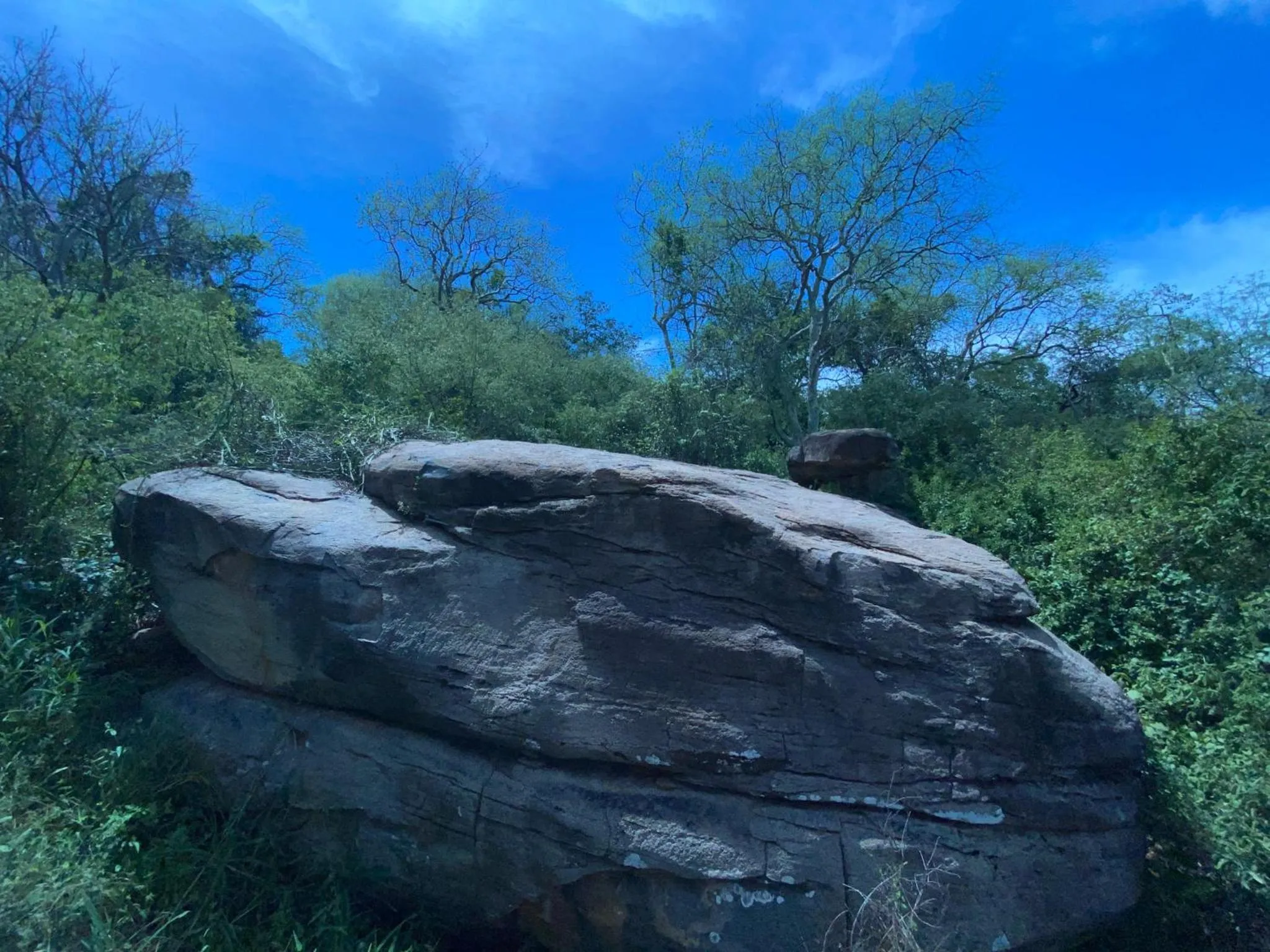 Landmark view in Mkomazi Hotels and Camps