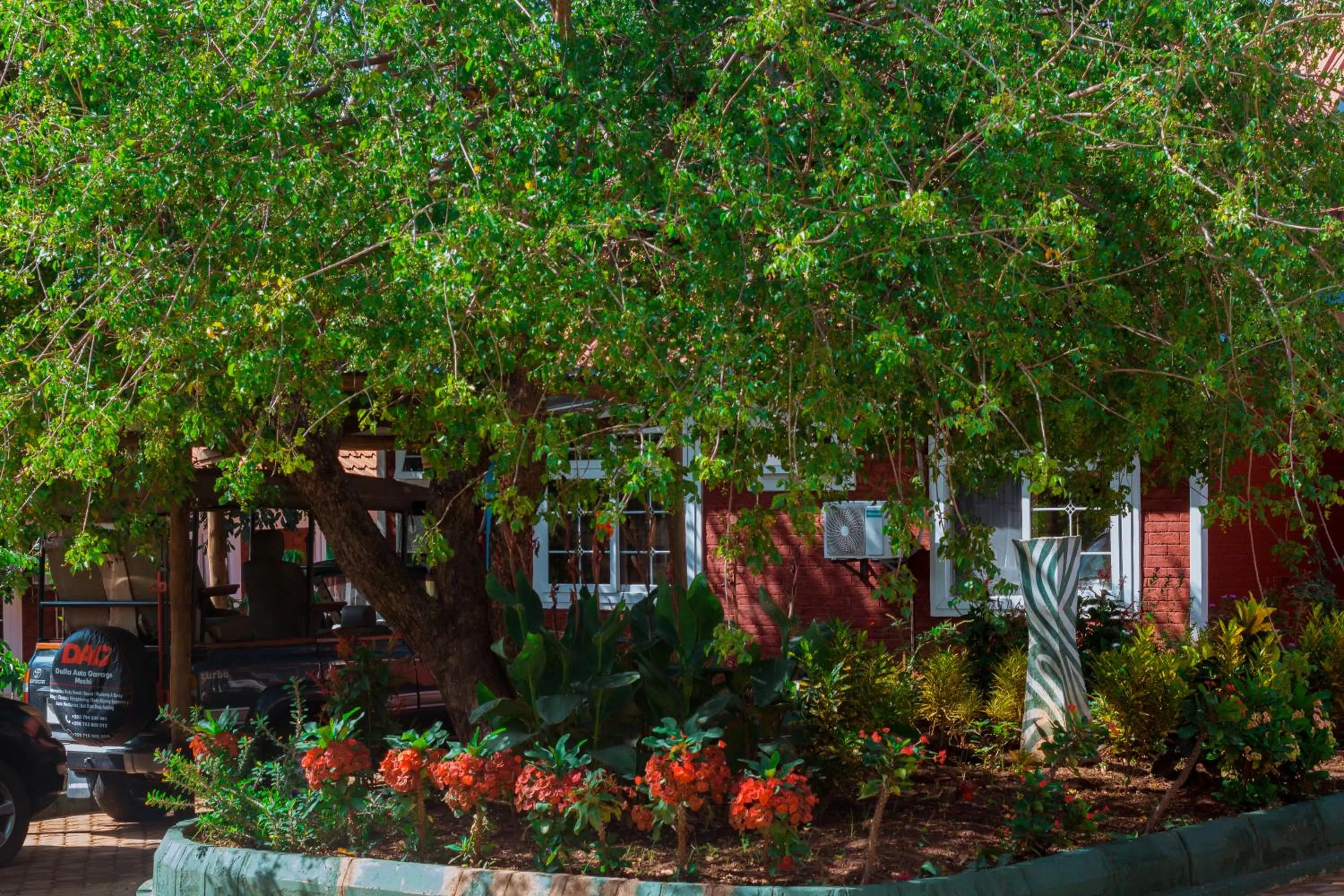 Garden in Mkomazi Hotels and Camps